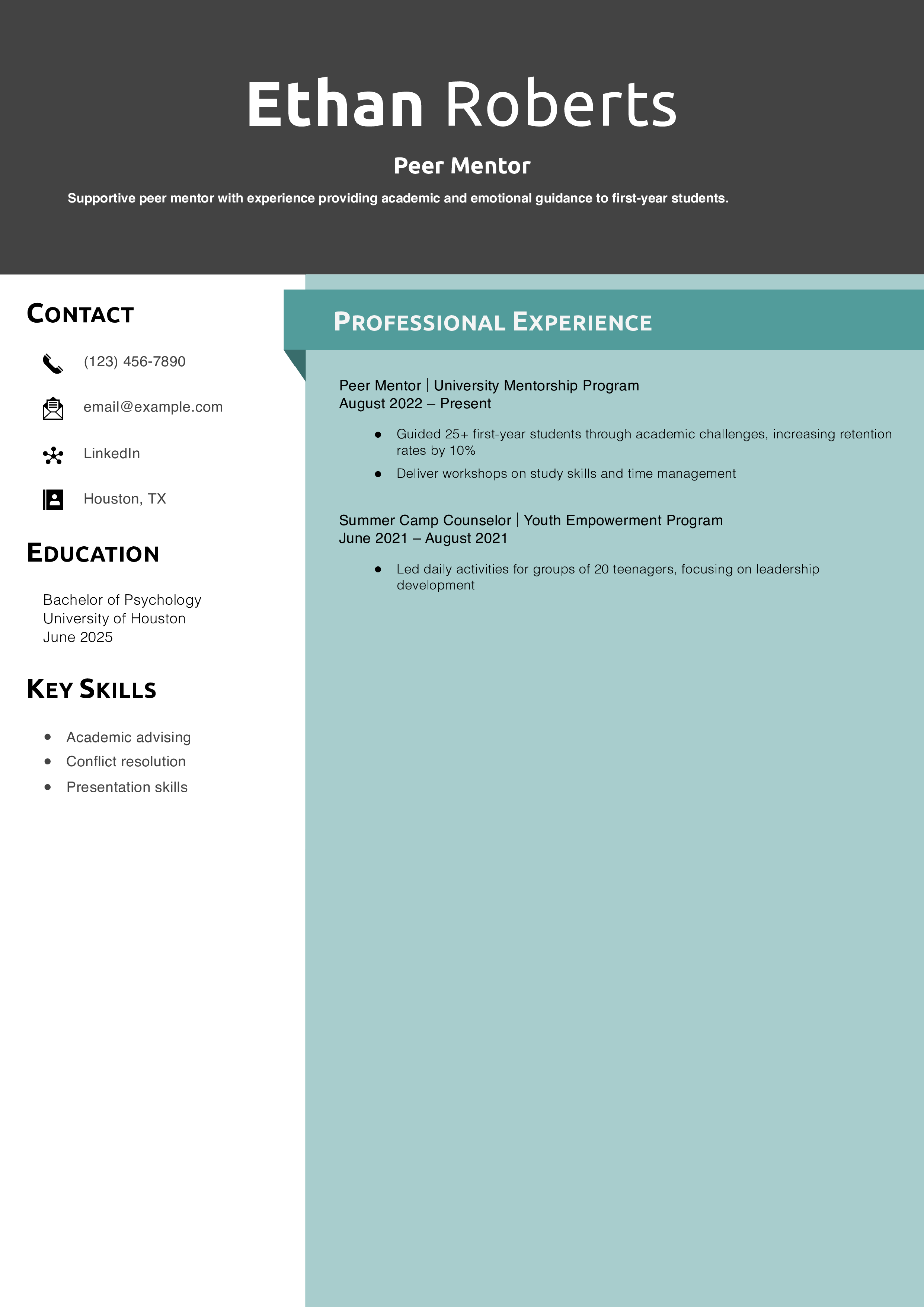 Peer Mentor Resume Example