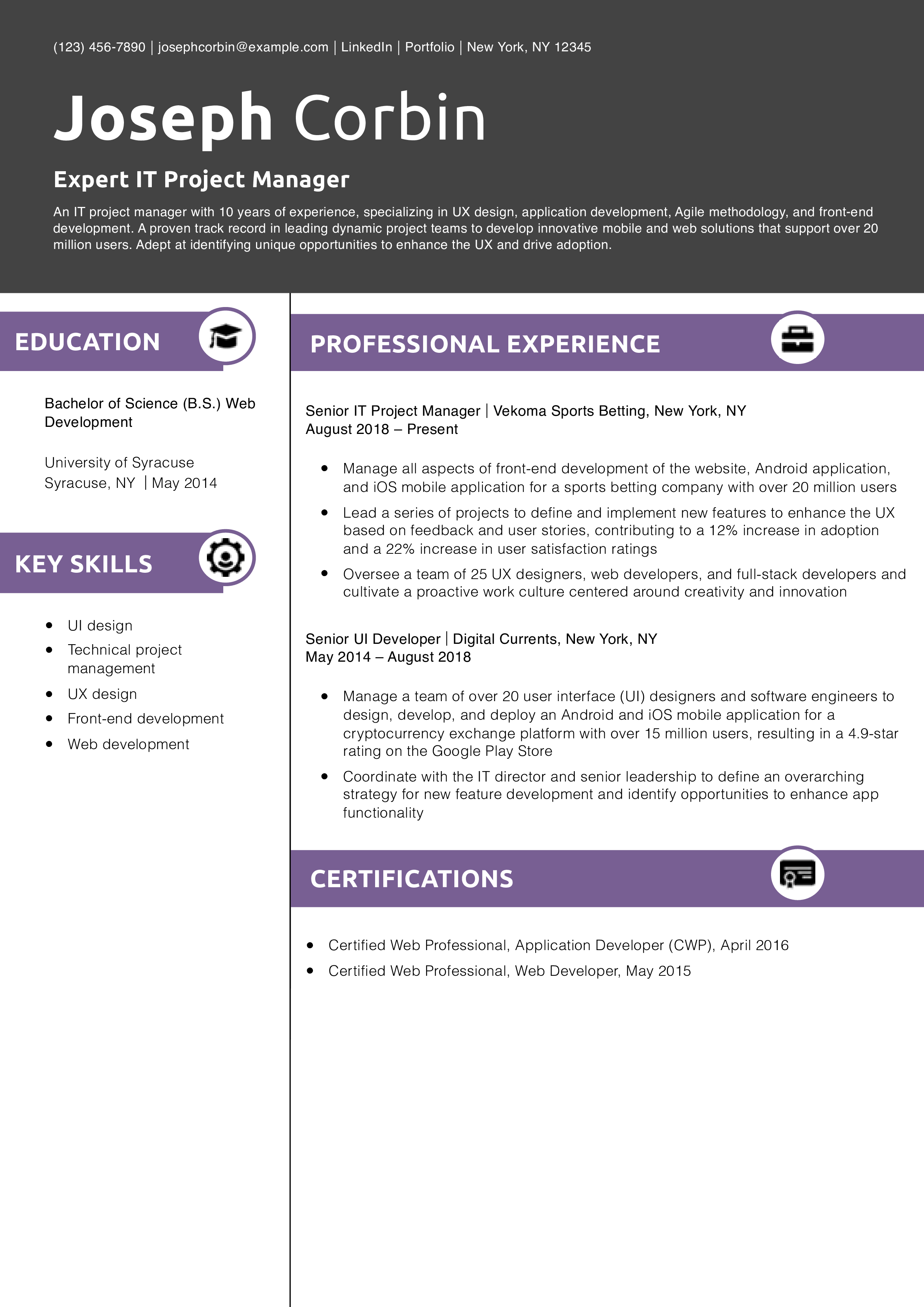 Expert IT Project Manager Resume Example