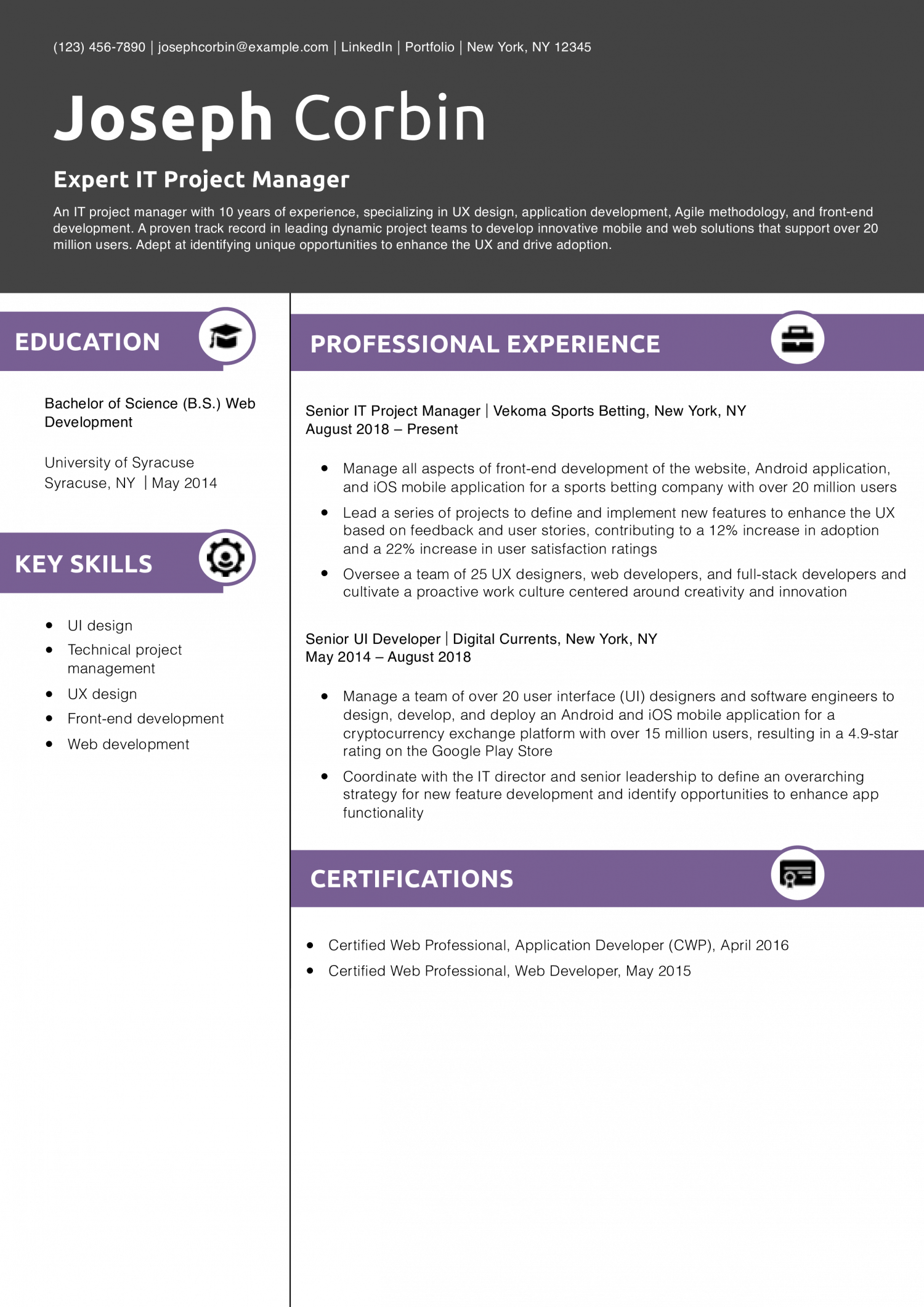Expert IT Project Manager Resume Example