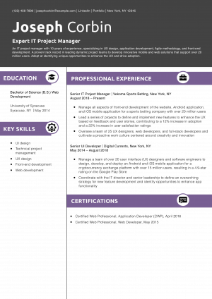 Expert IT Project Manager Resume Example