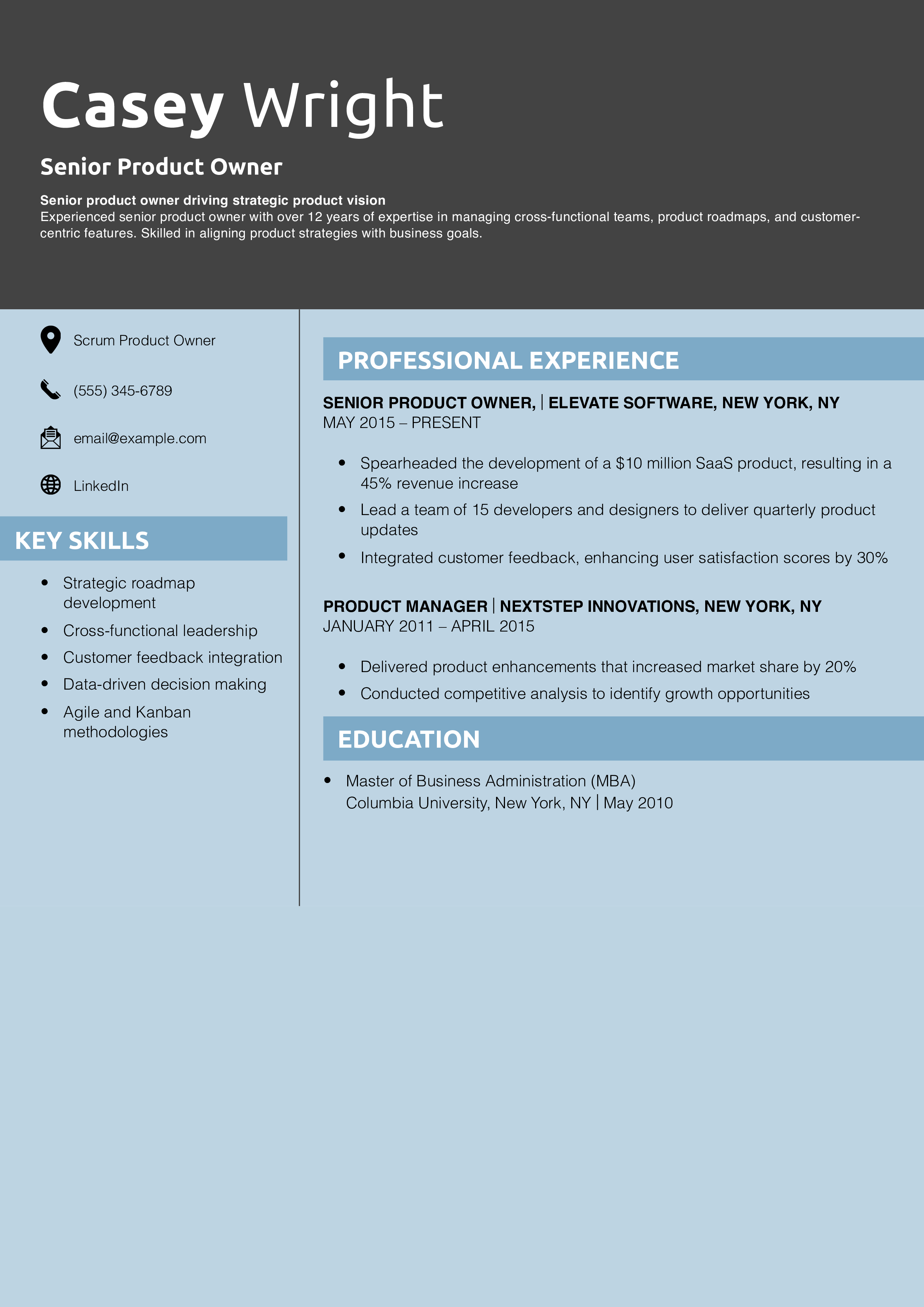 Senior Product Owner Resume