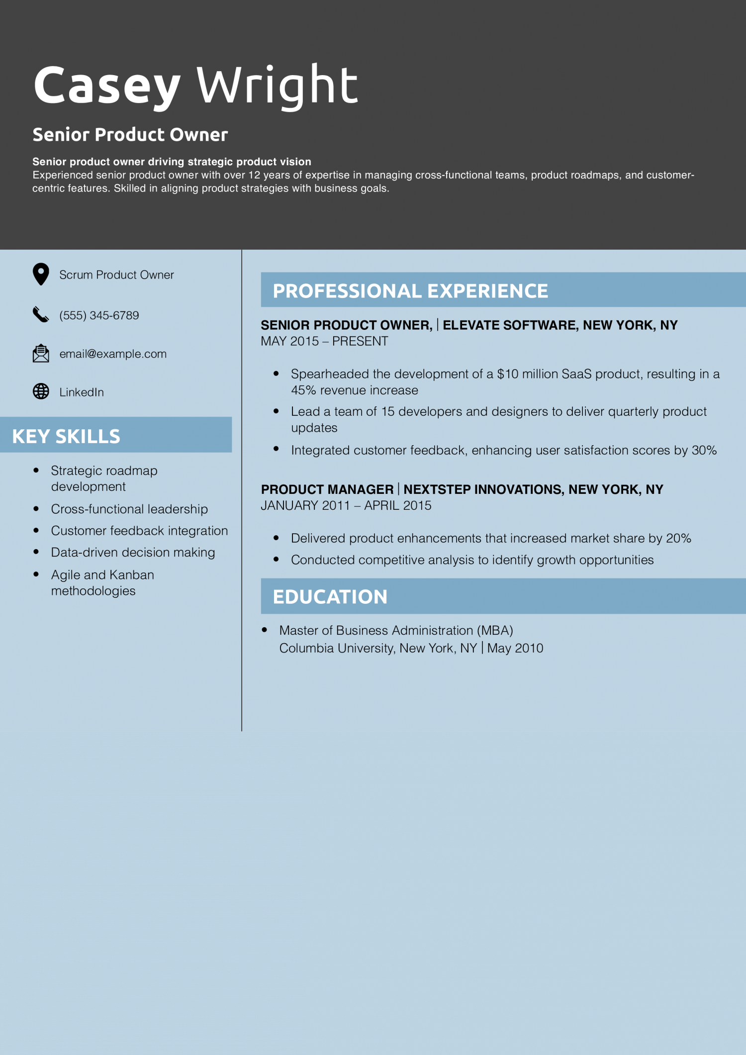 Senior Product Owner Resume