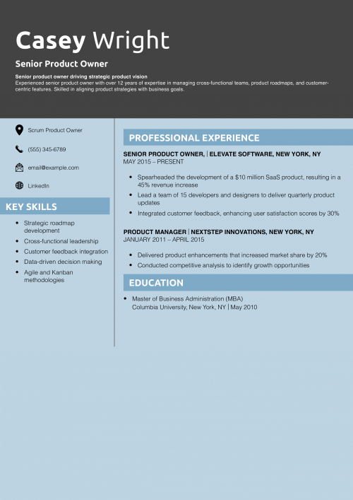 Senior Product Owner Resume