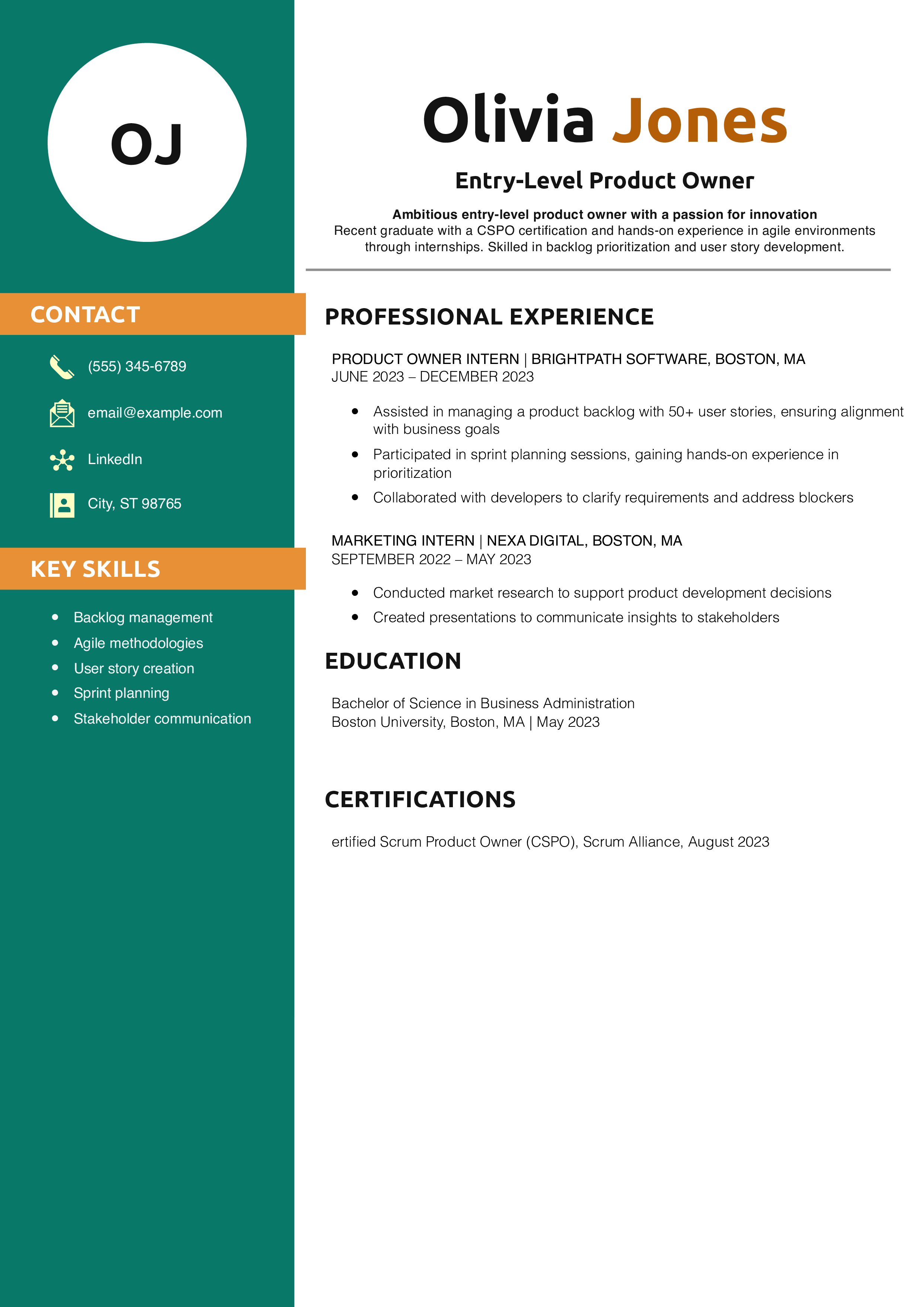 Entry-Level Product Owner Resume