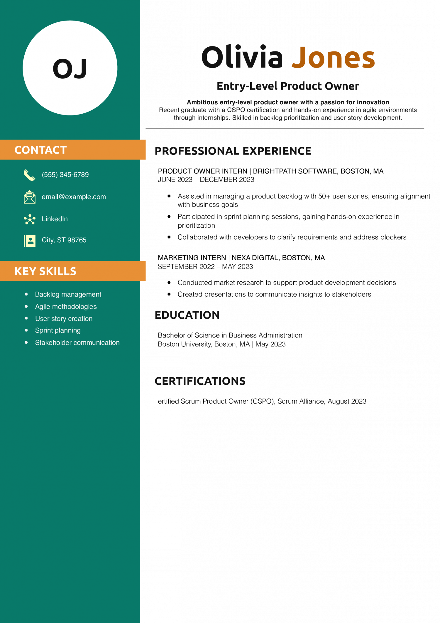 Entry-Level Product Owner Resume