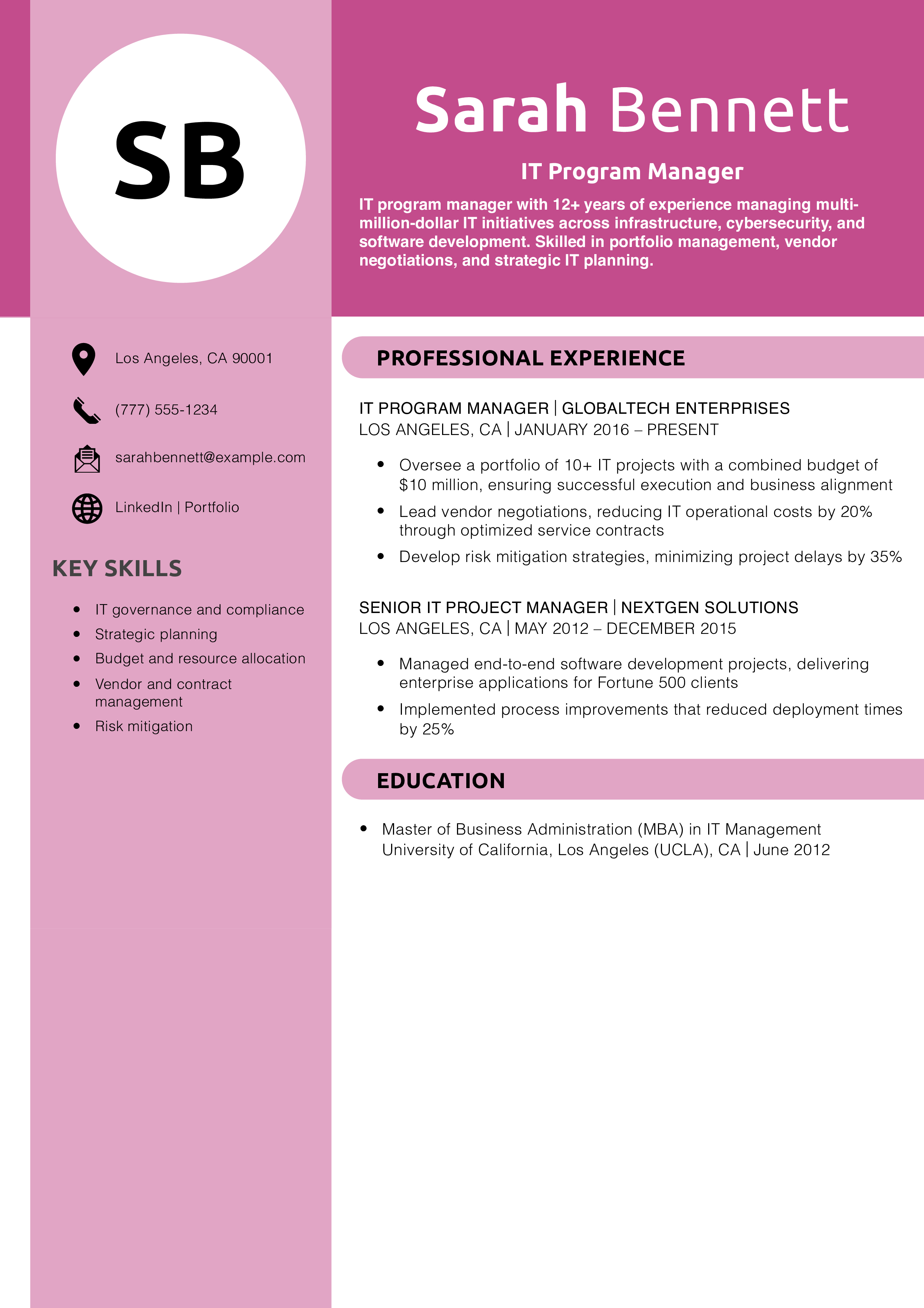 IT Program Manager Resume Example