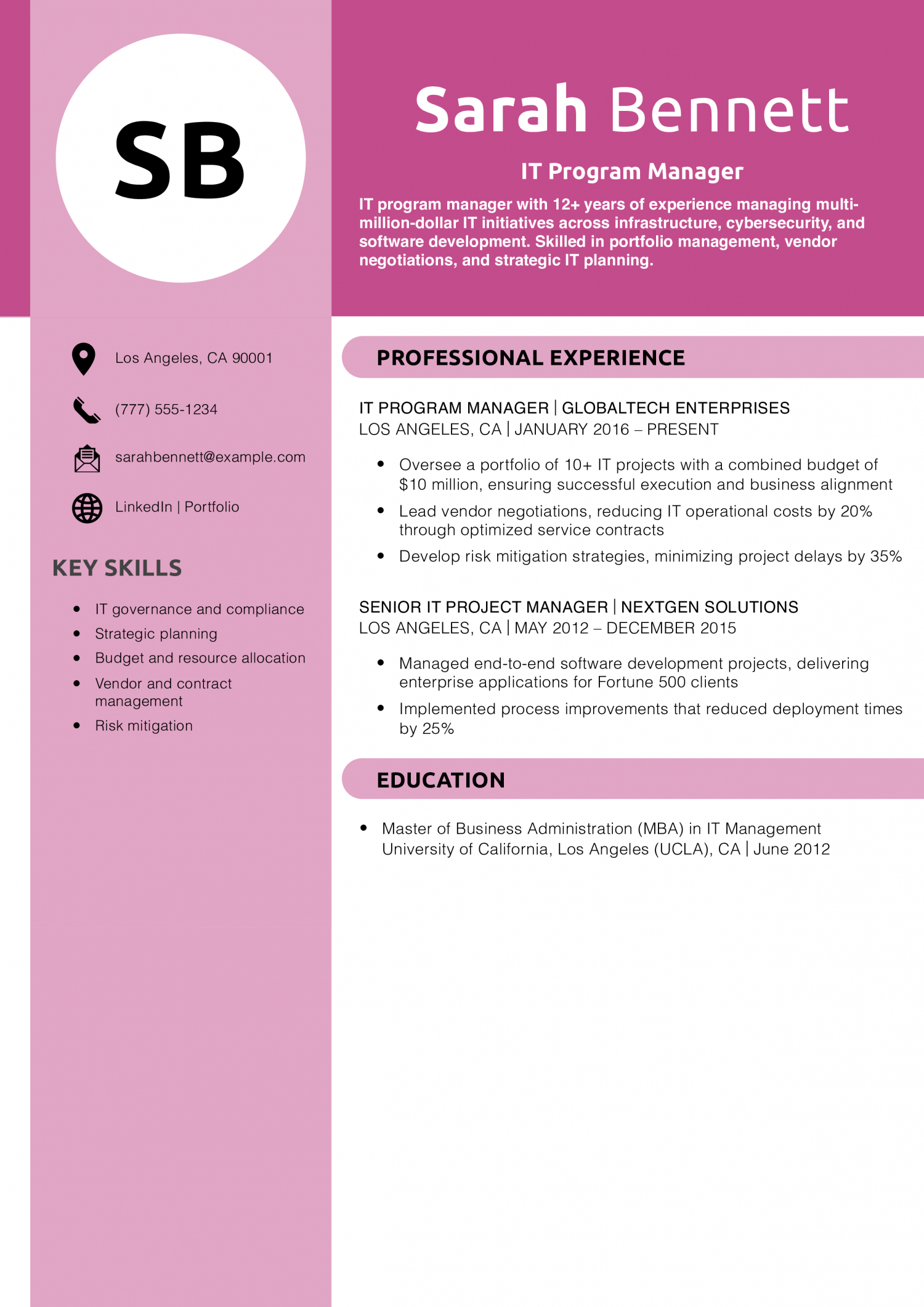 IT Program Manager Resume Example