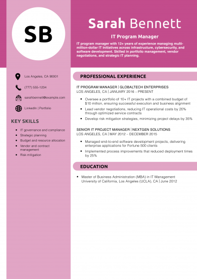IT Program Manager Resume Example