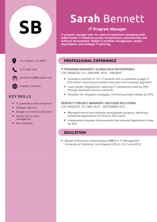 IT Program Manager Resume Example