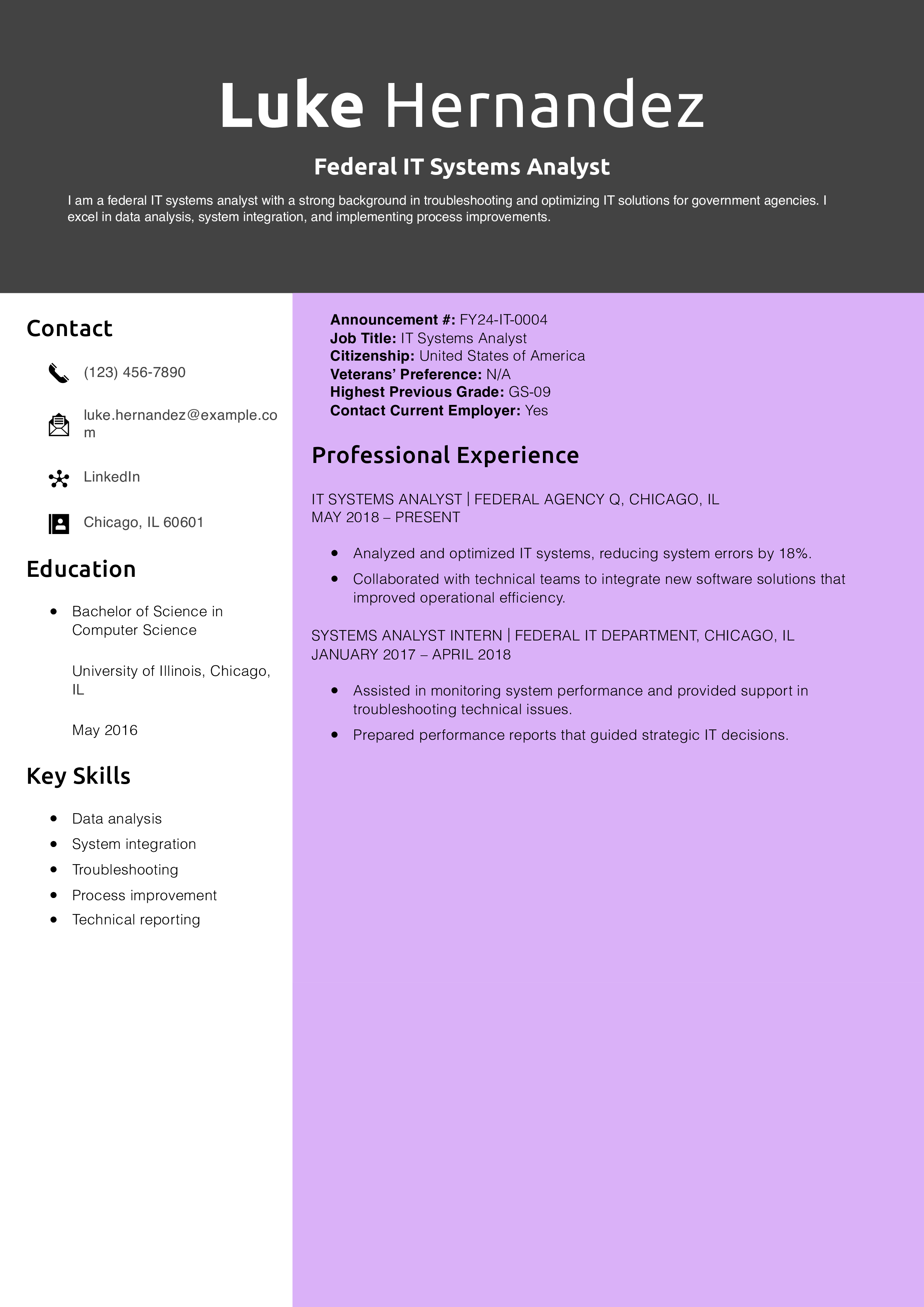 Federal IT Systems Analyst Resume Example