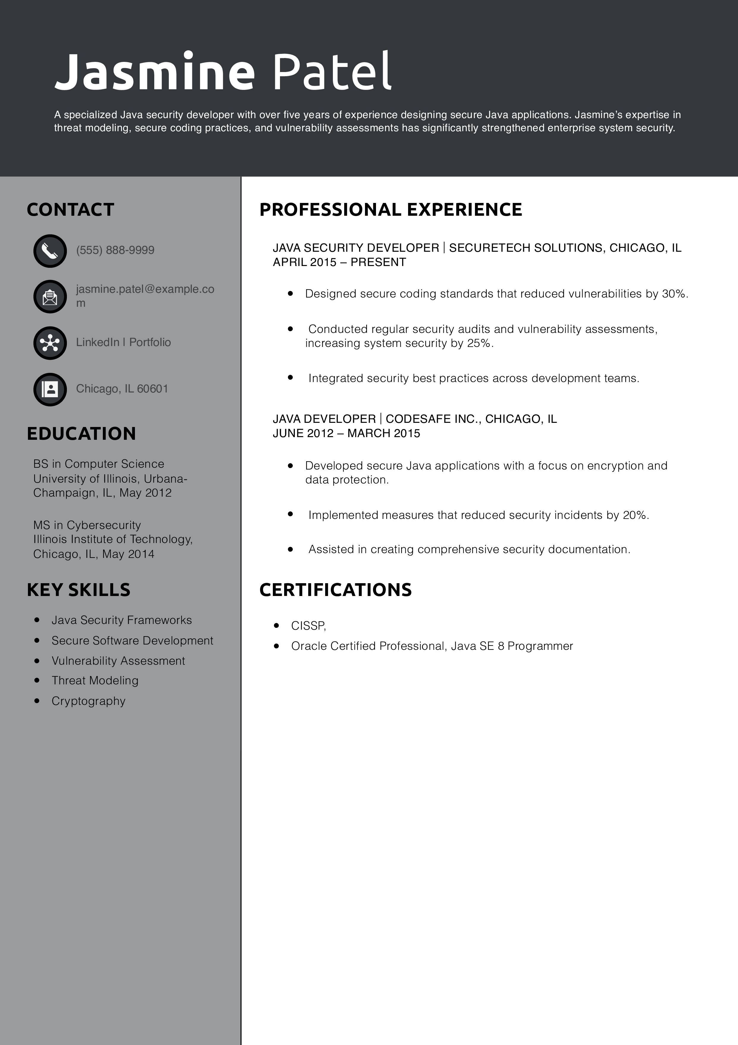 Java Security Developer Resume Example 