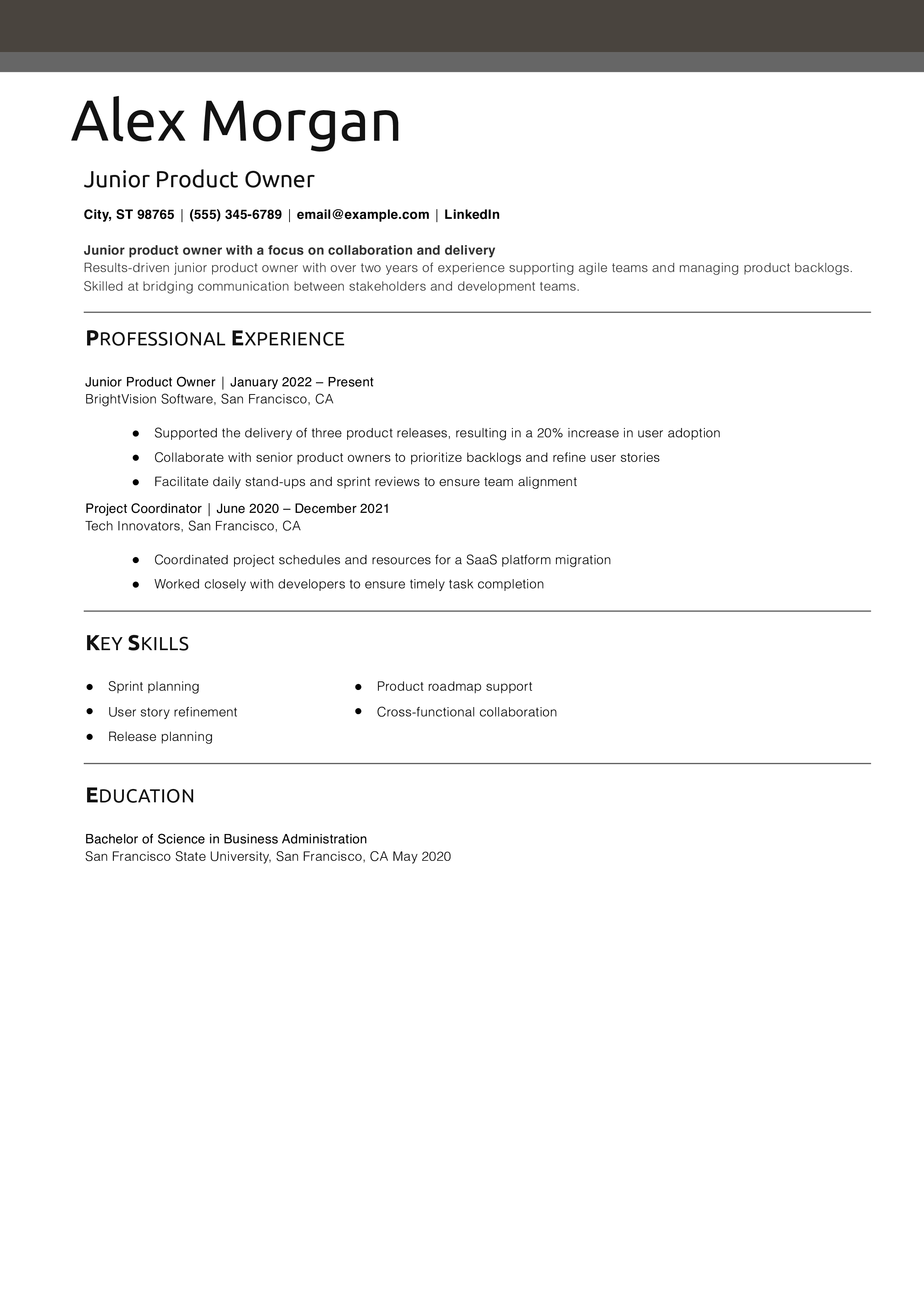 Junior Product Owner Resume
