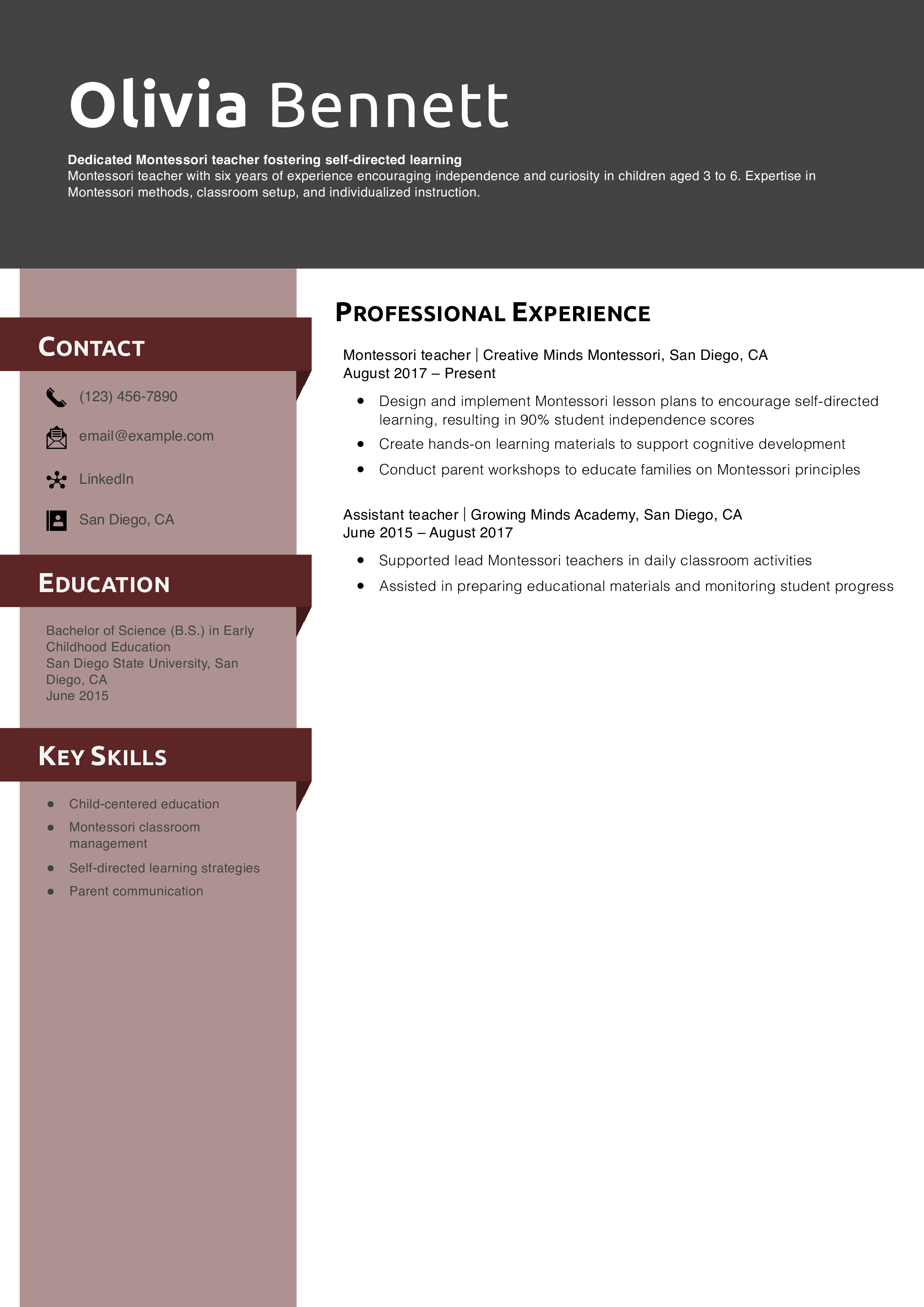 Montessori teacher resume example