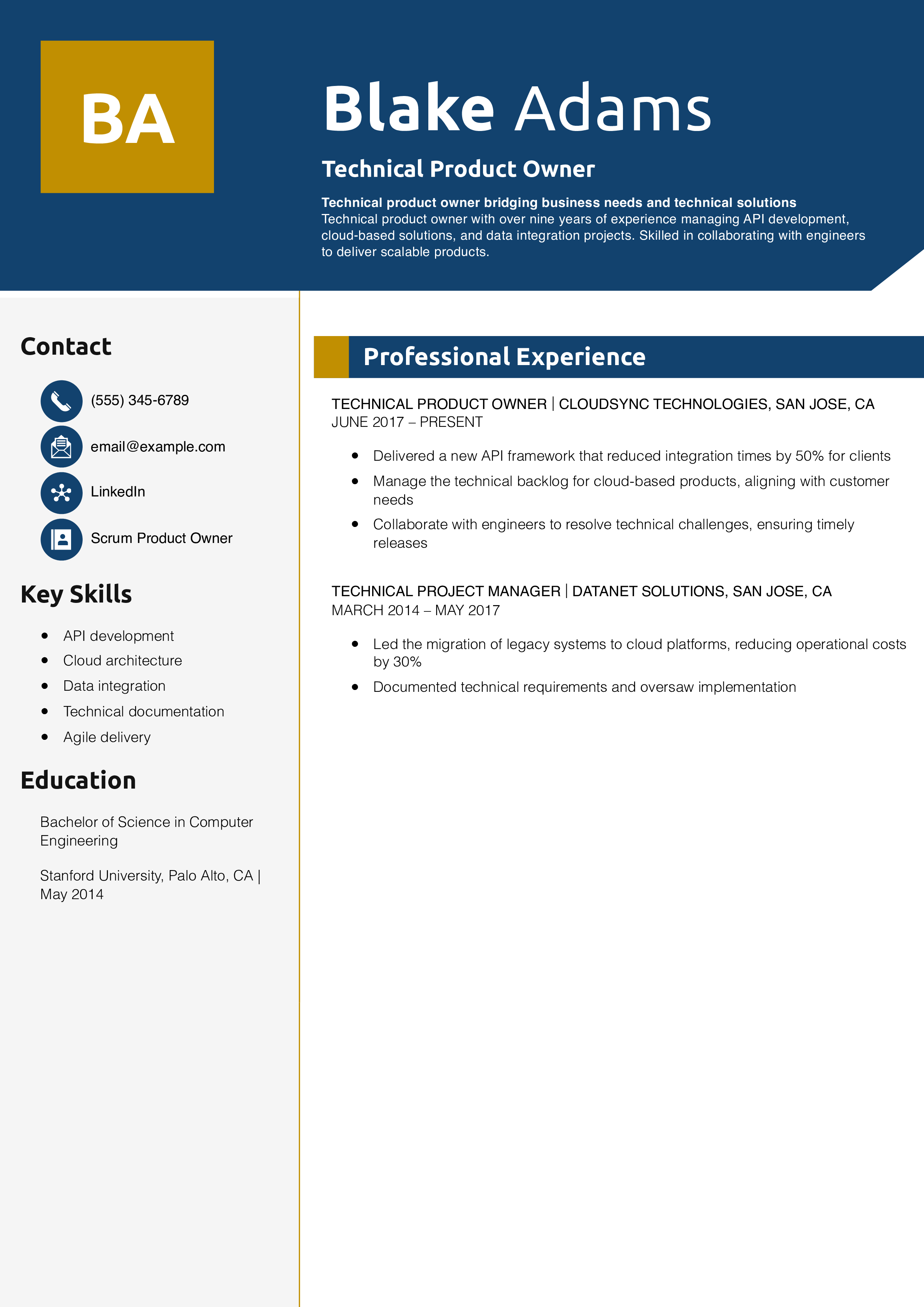 Technical Product Owner Resume
