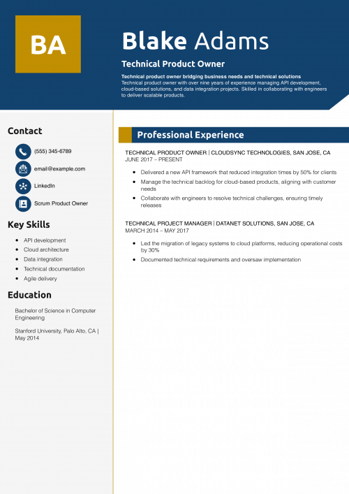 Technical Product Owner Resume