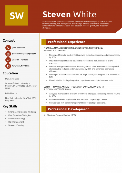 Financial Management Consultant Resume Example
