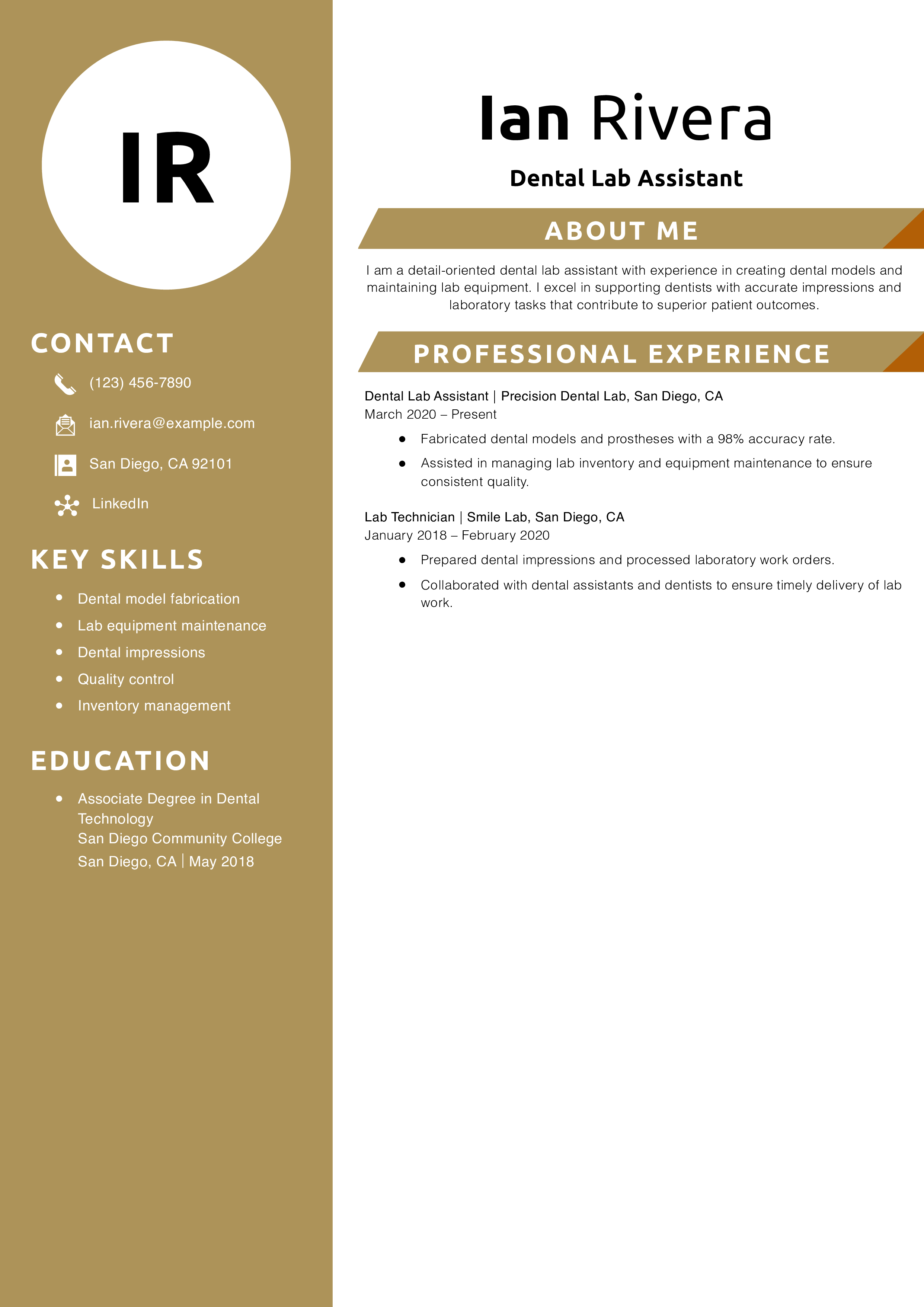 Dental Lab Assistant Resume Example