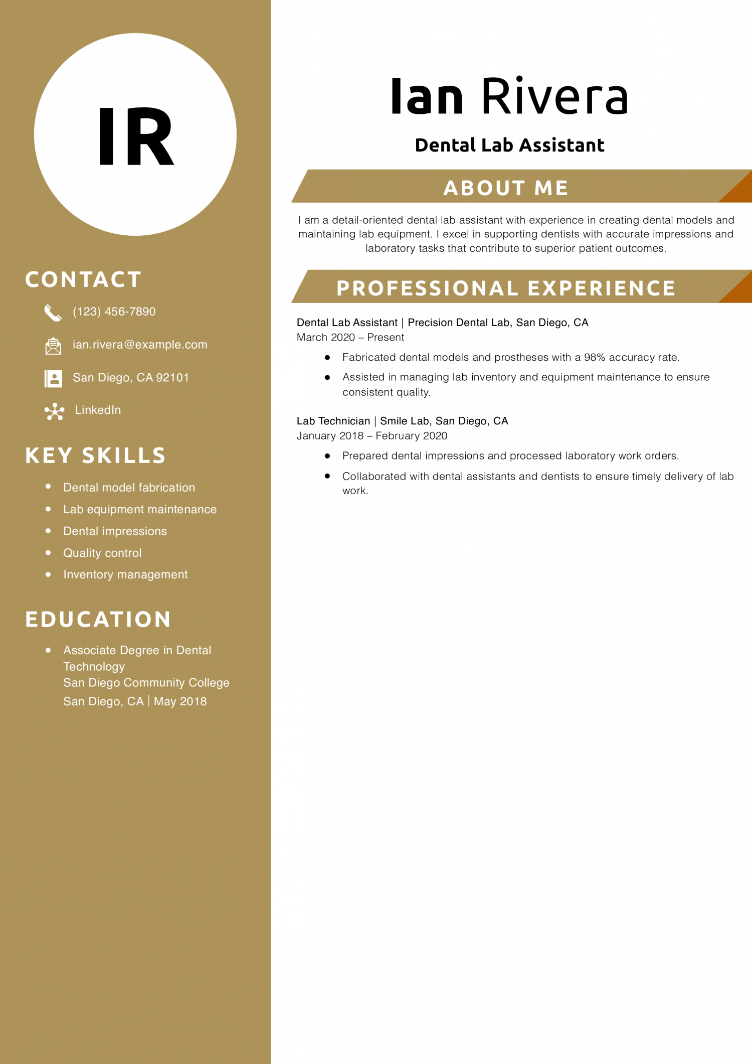 Dental Lab Assistant Resume Example