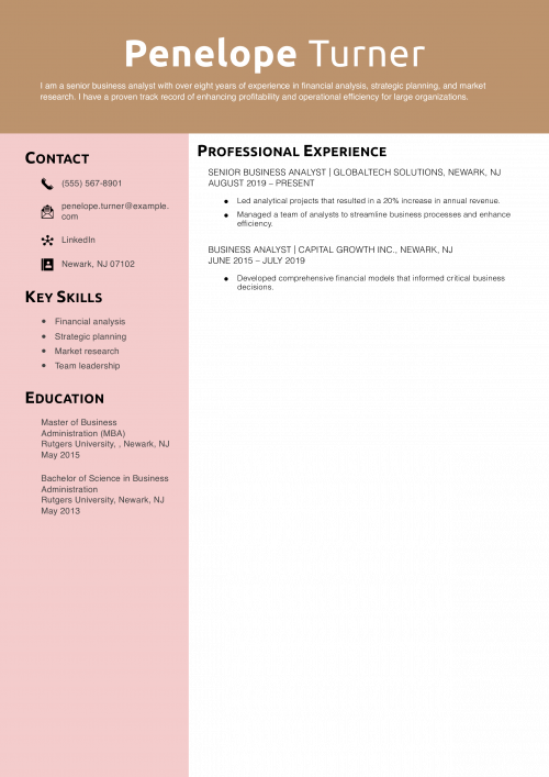 Senior Business Analyst Resume Example