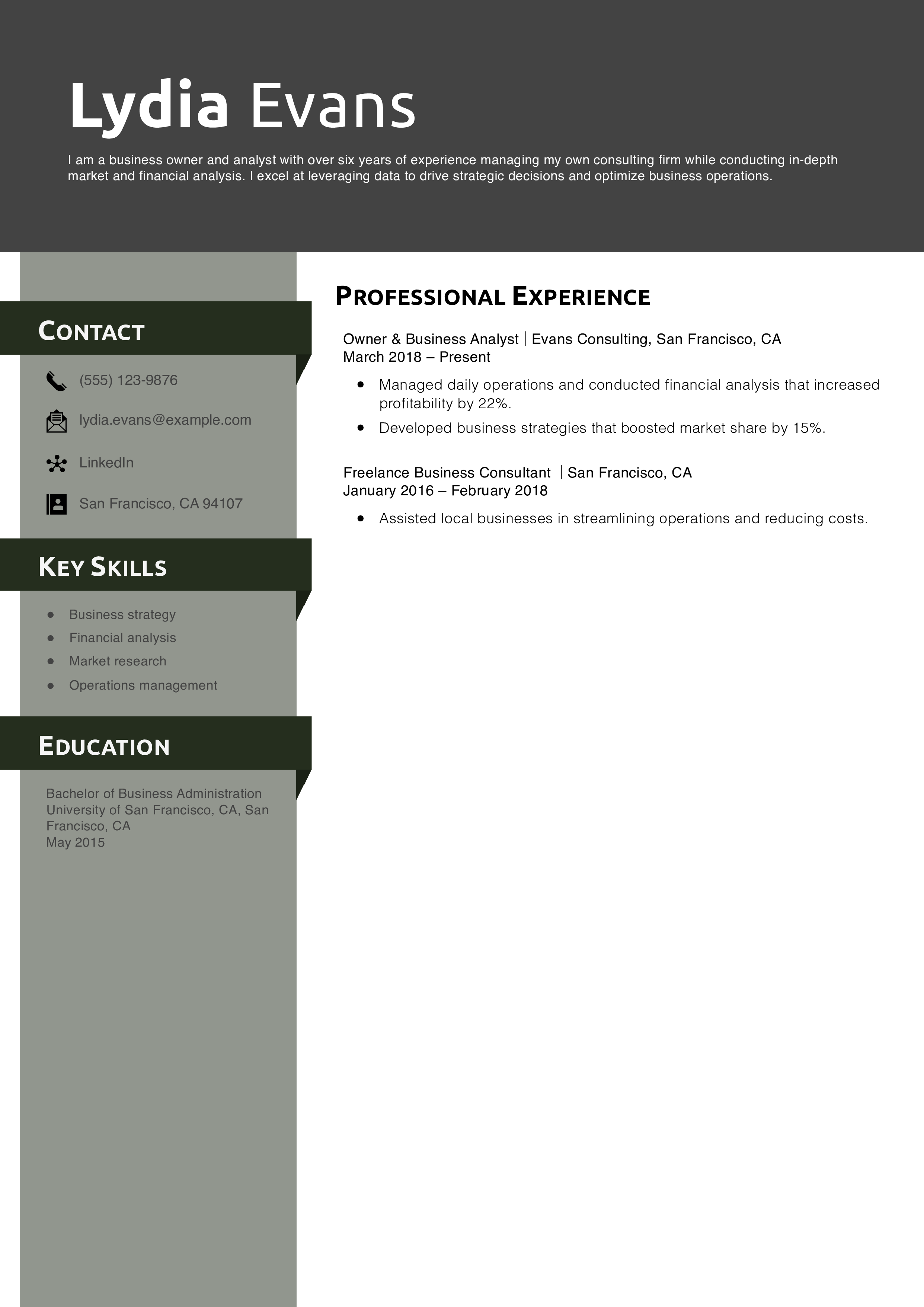 Business Owner & Analyst Resume Example