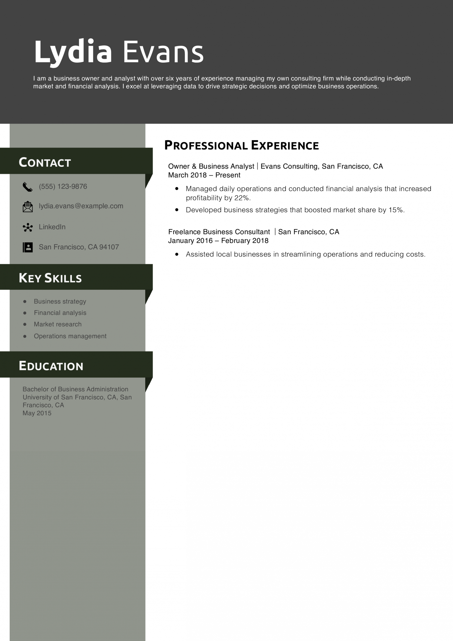 Business Owner & Analyst Resume Example