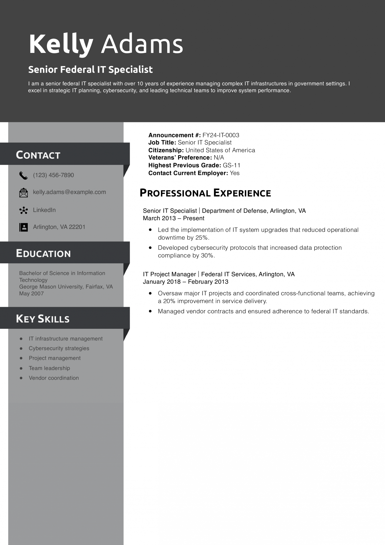 Senior Federal IT Specialist Resume Example