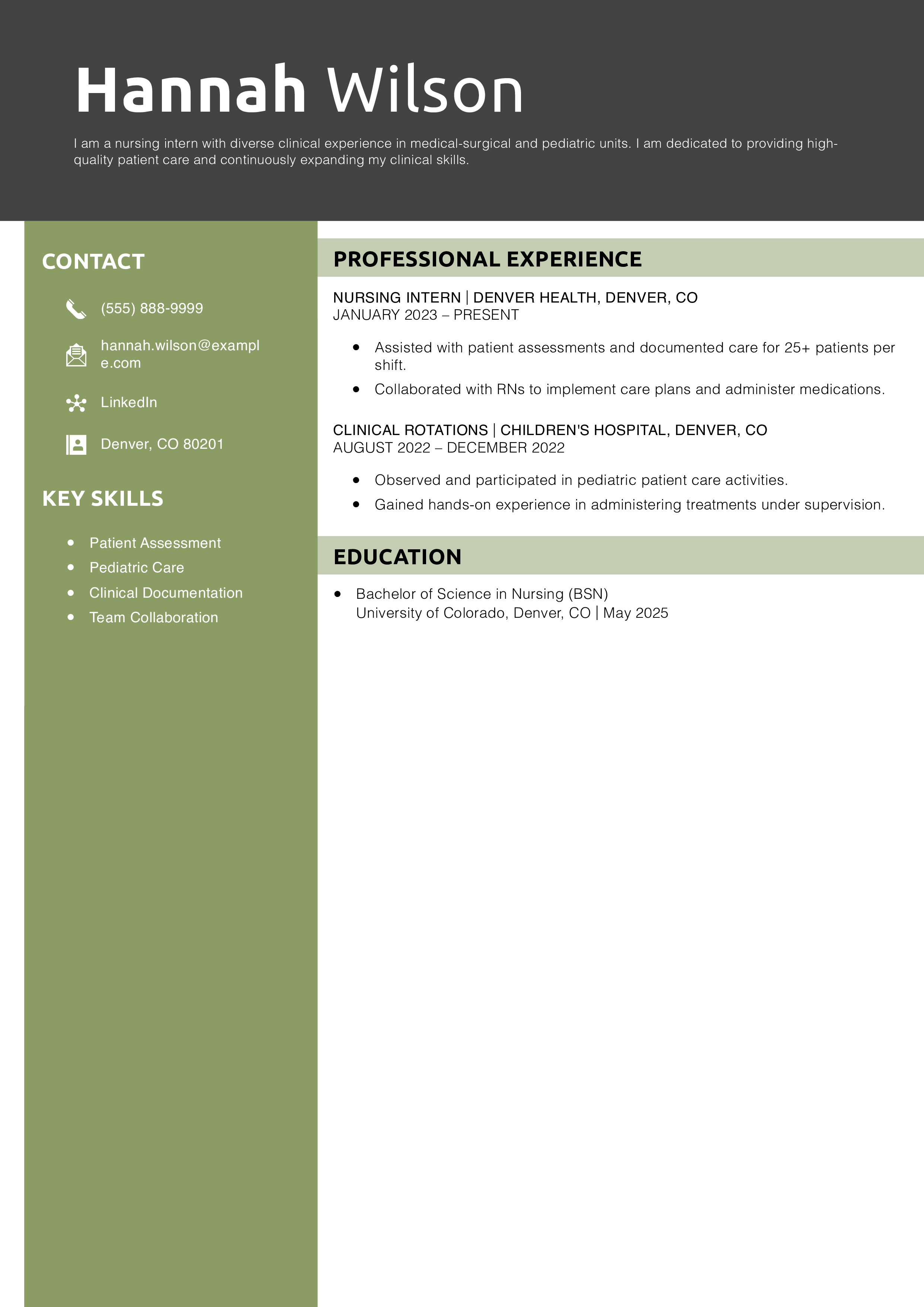 Nursing Intern Resume Example