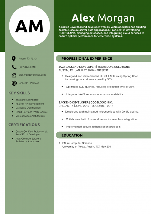 Java Backend Developer Resume Example