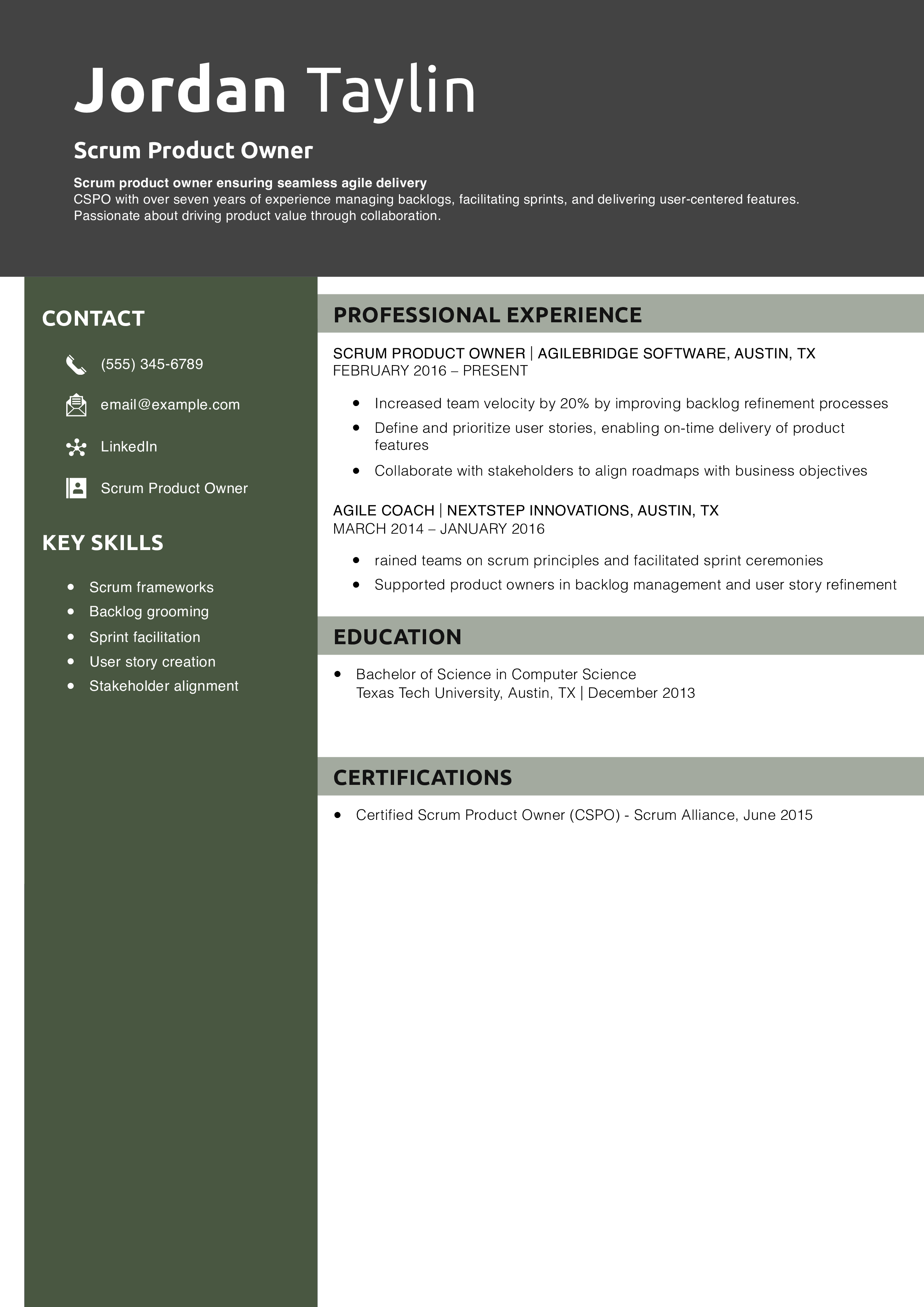 Scrum Product Owner Resume