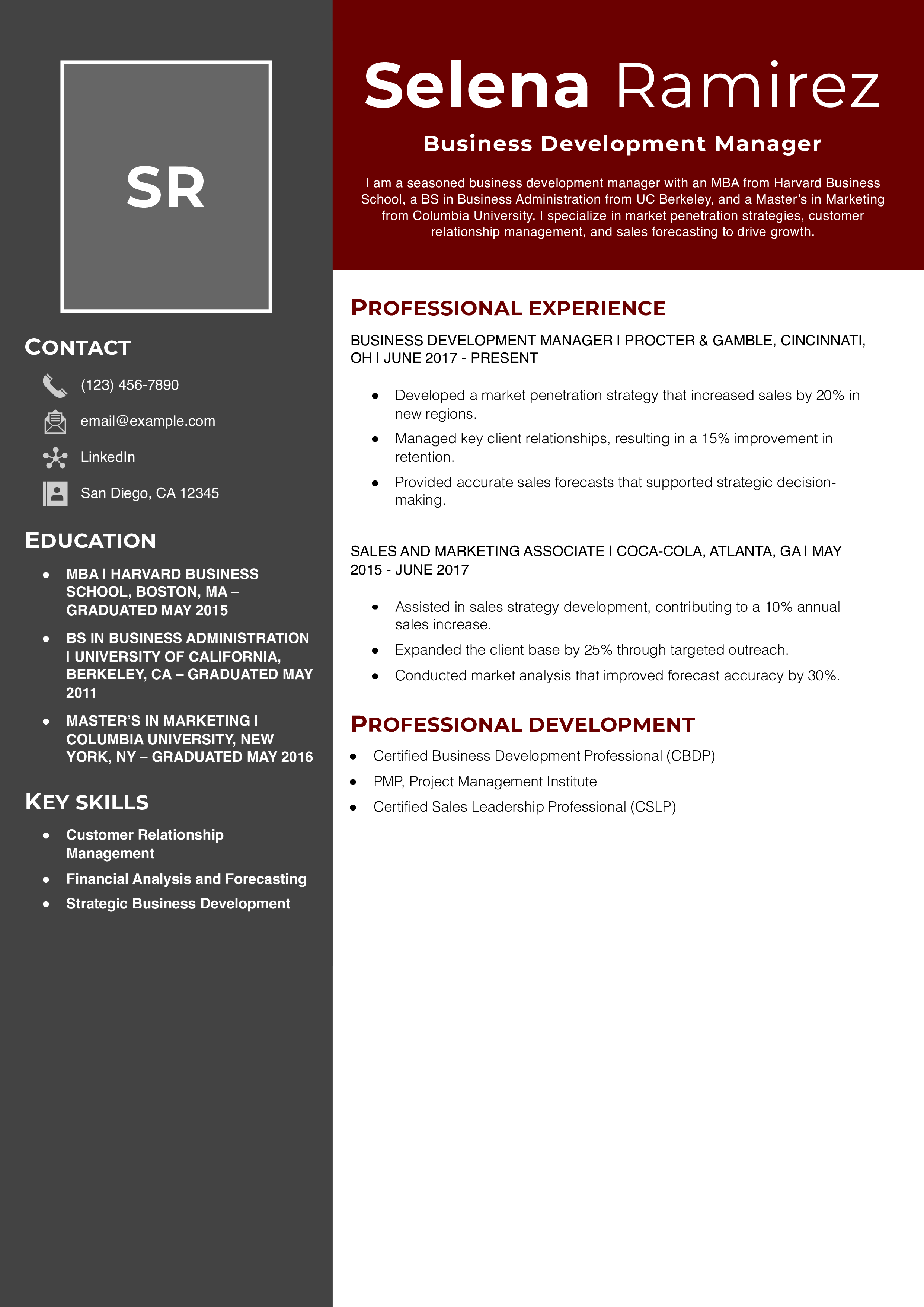 Business Development Manager Resume Example