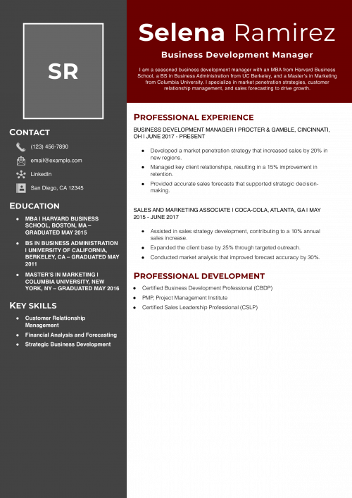 Business Development Manager Resume Example