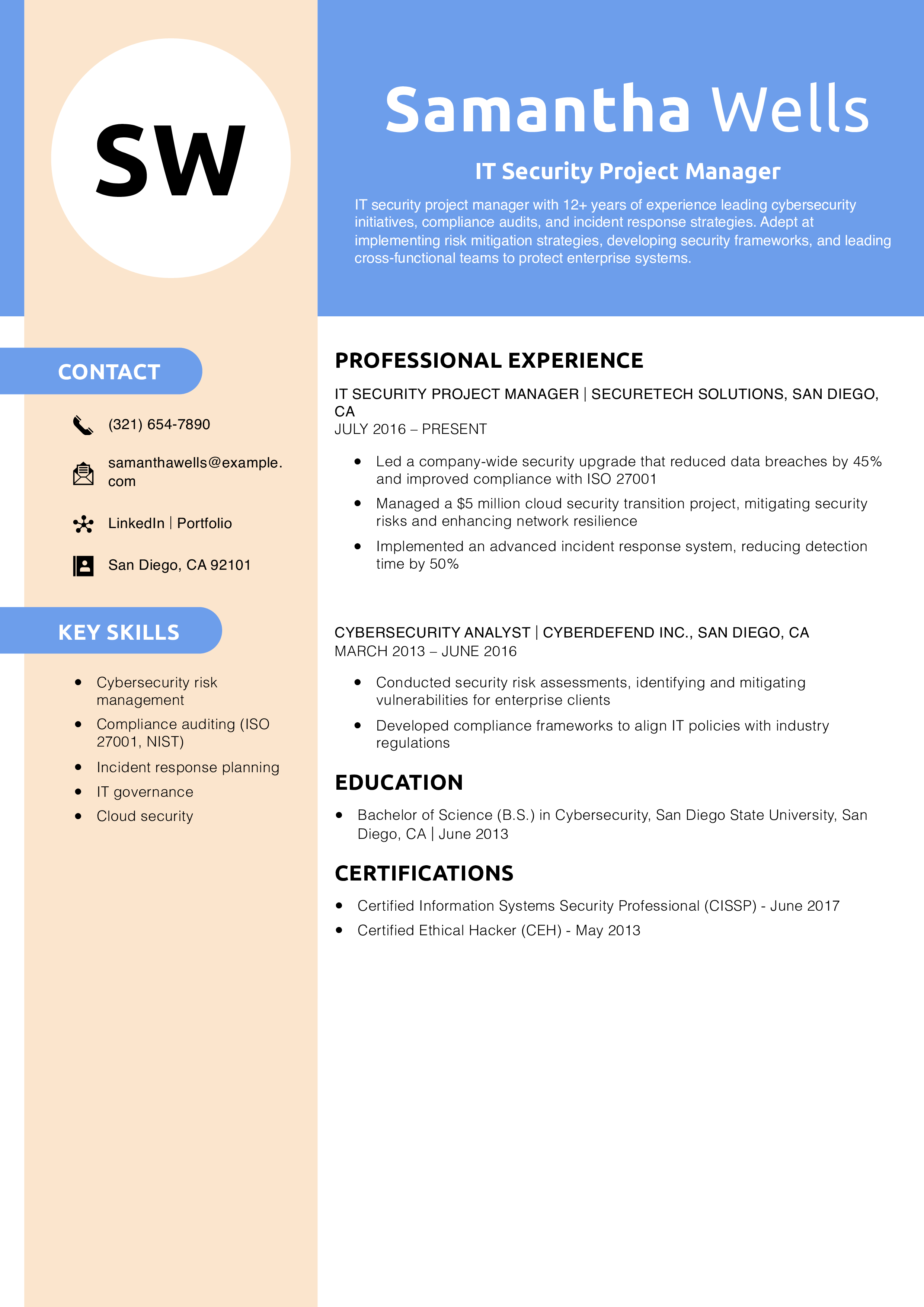 IT Security Project Manager Resume Example