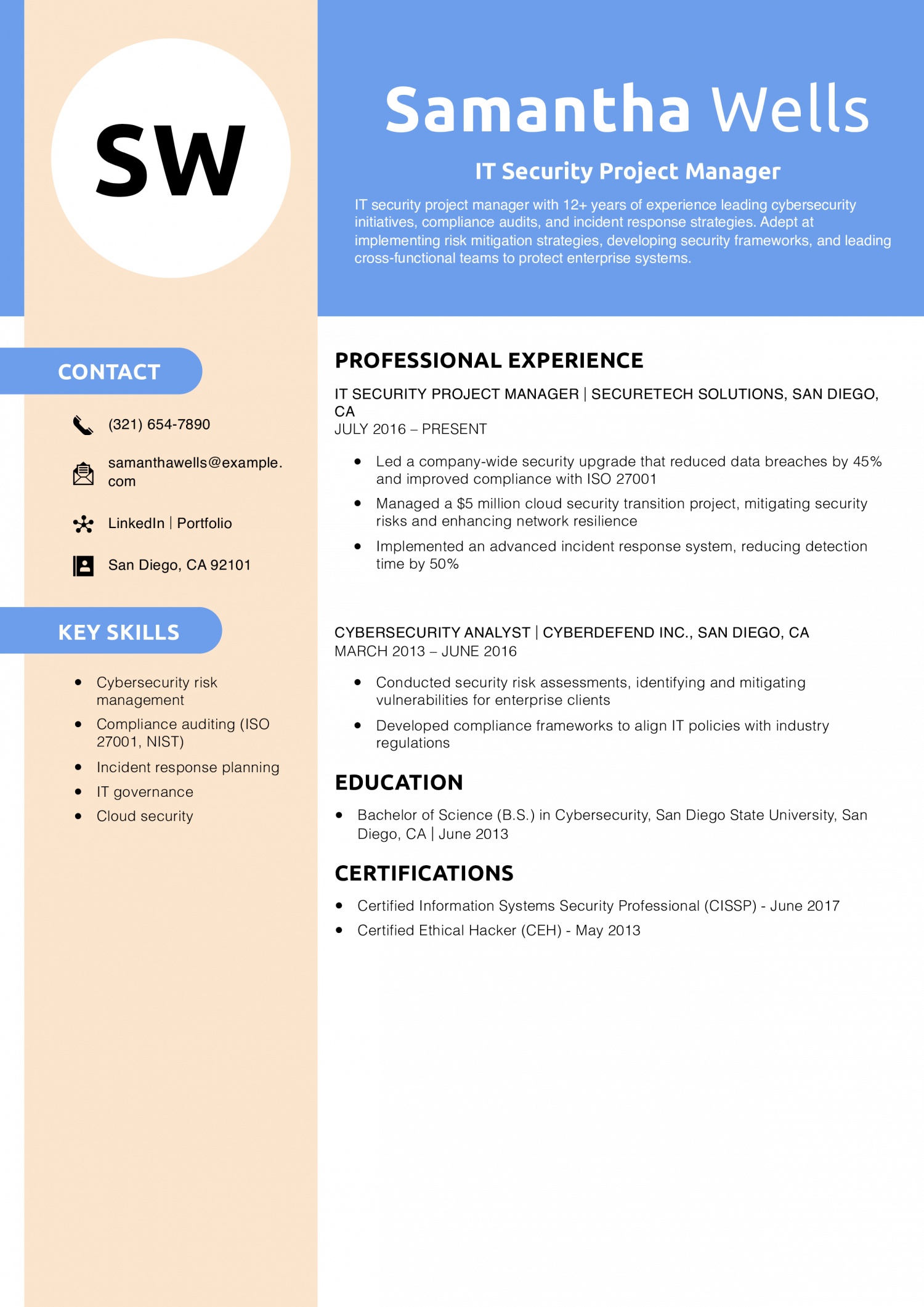 IT Security Project Manager Resume Example