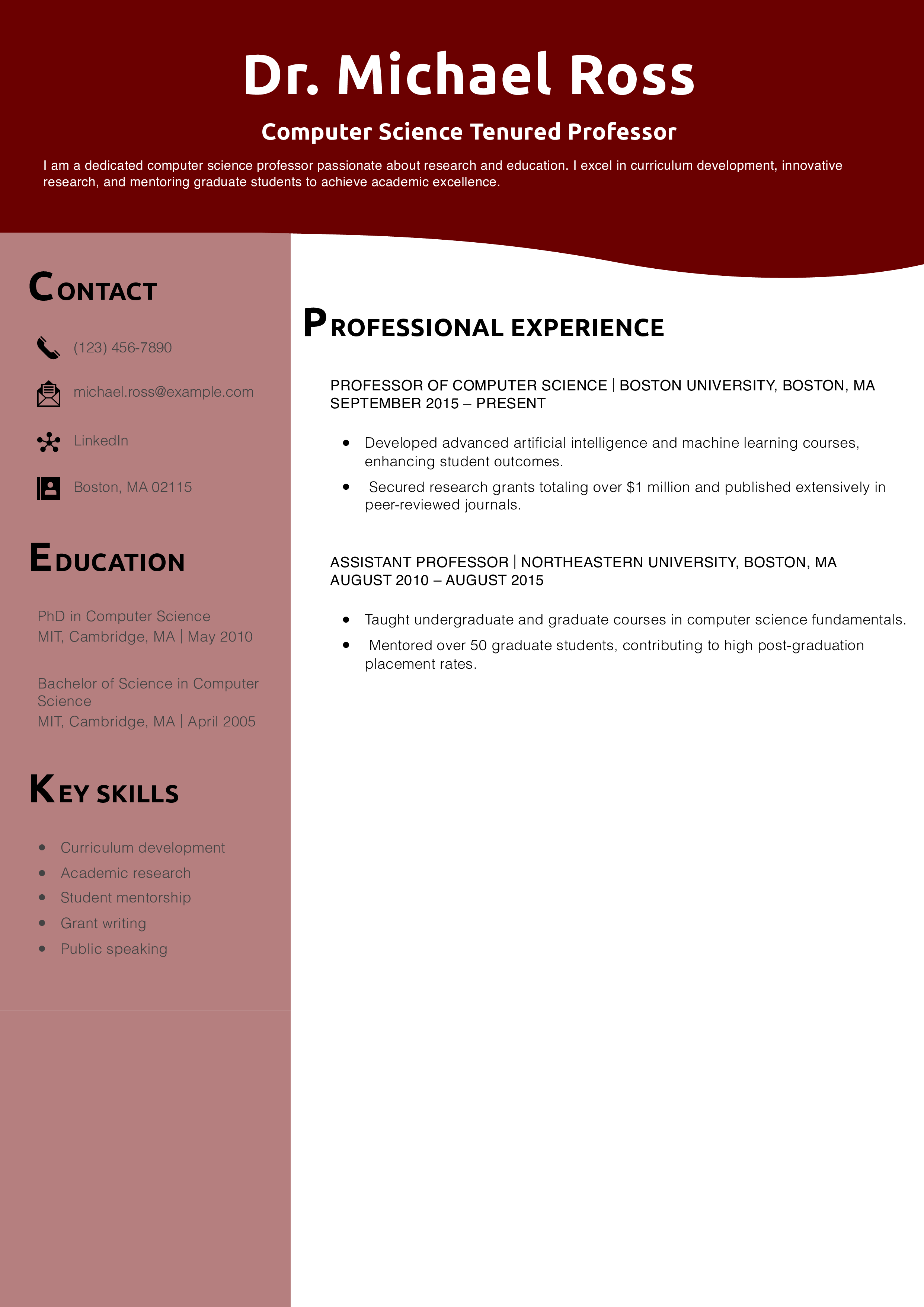 Computer Science Tenured Professor Resume Example