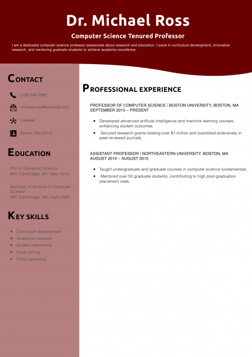 Computer Science Tenured Professor Resume Example