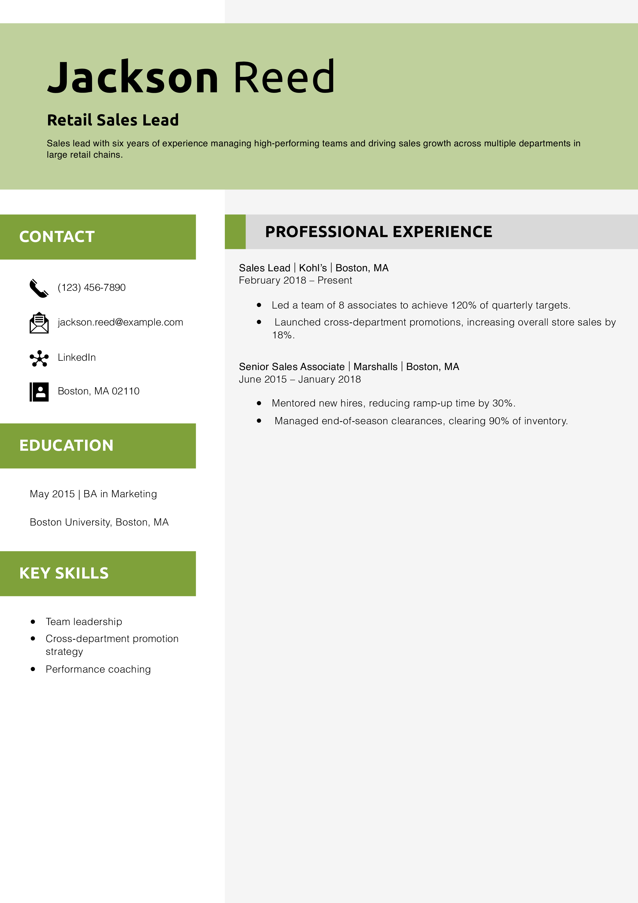 Retail Sales Lead Resume Example