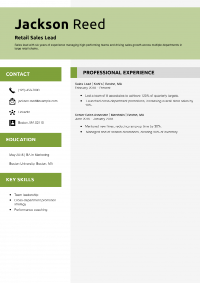Retail Sales Lead Resume Example