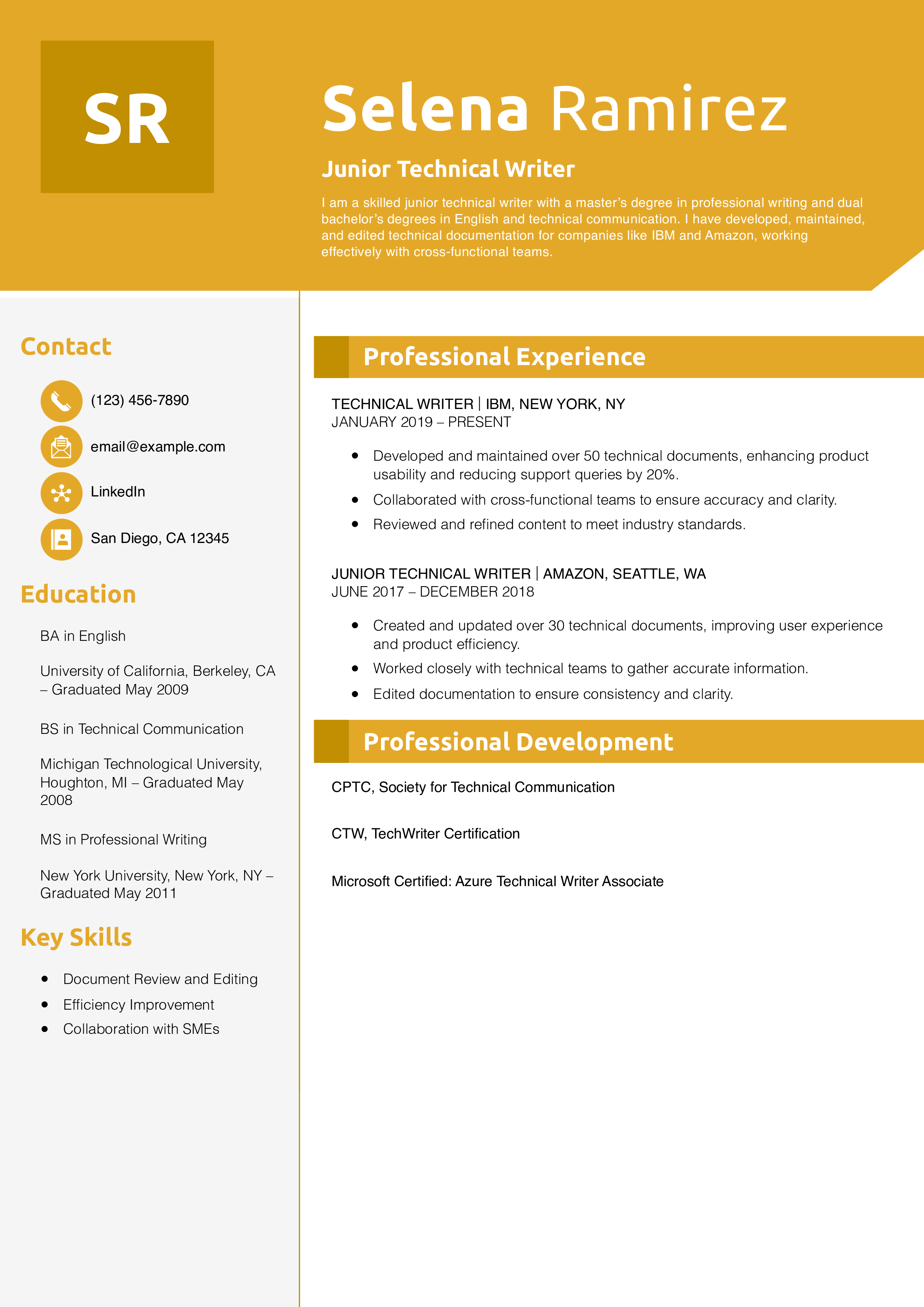 Junior Technical Writer Resume Example