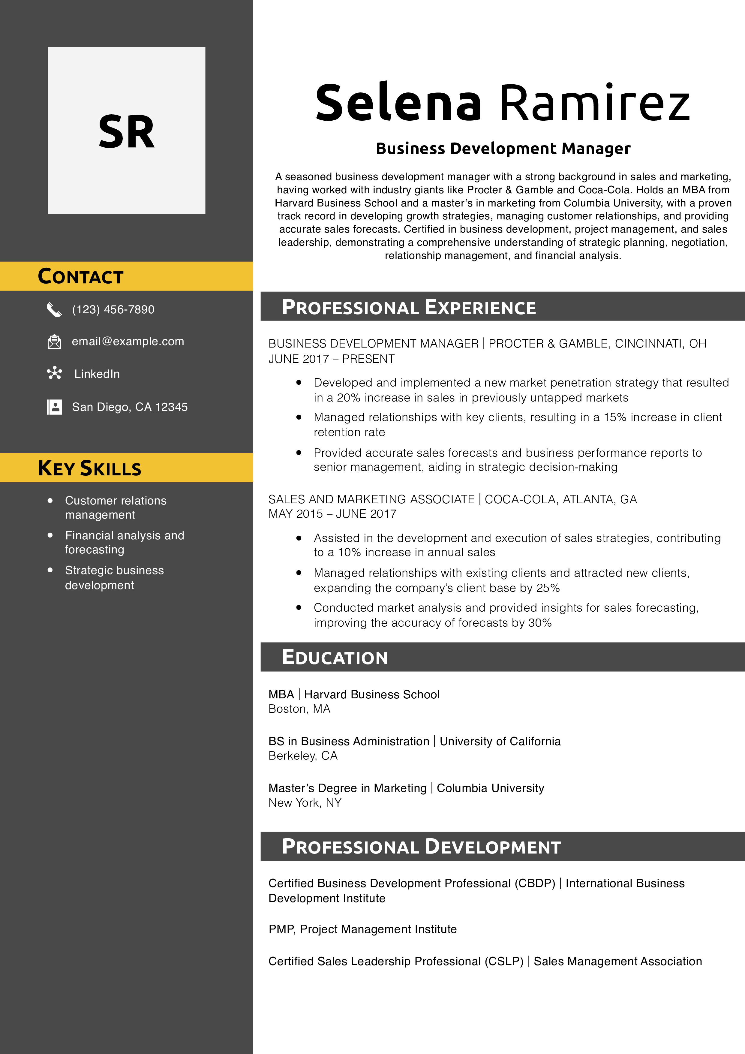 Business Development Manager Resume Example