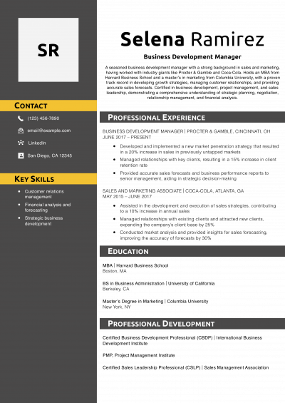 Business Development Manager Resume Example