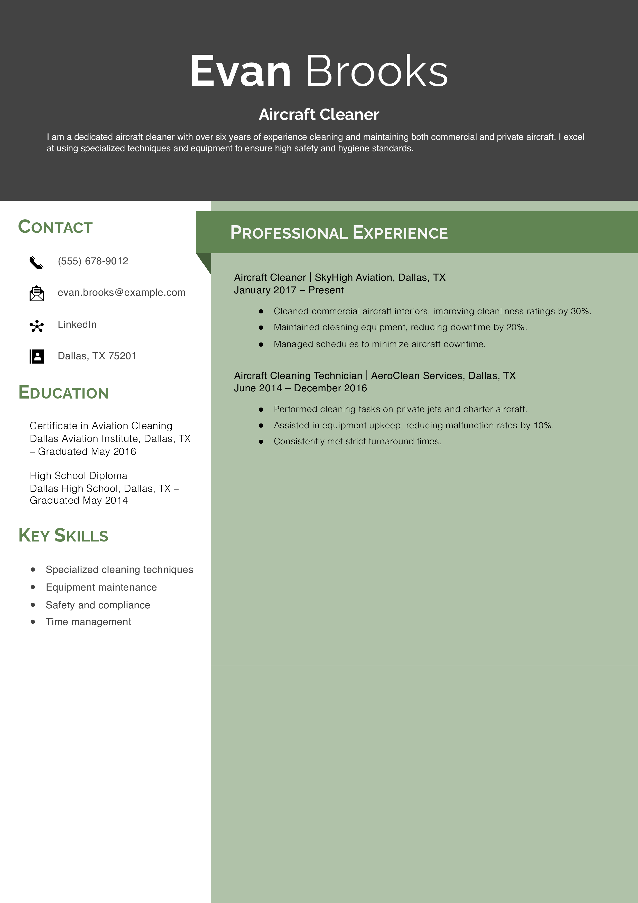 Aircraft Cleaner Resume Example