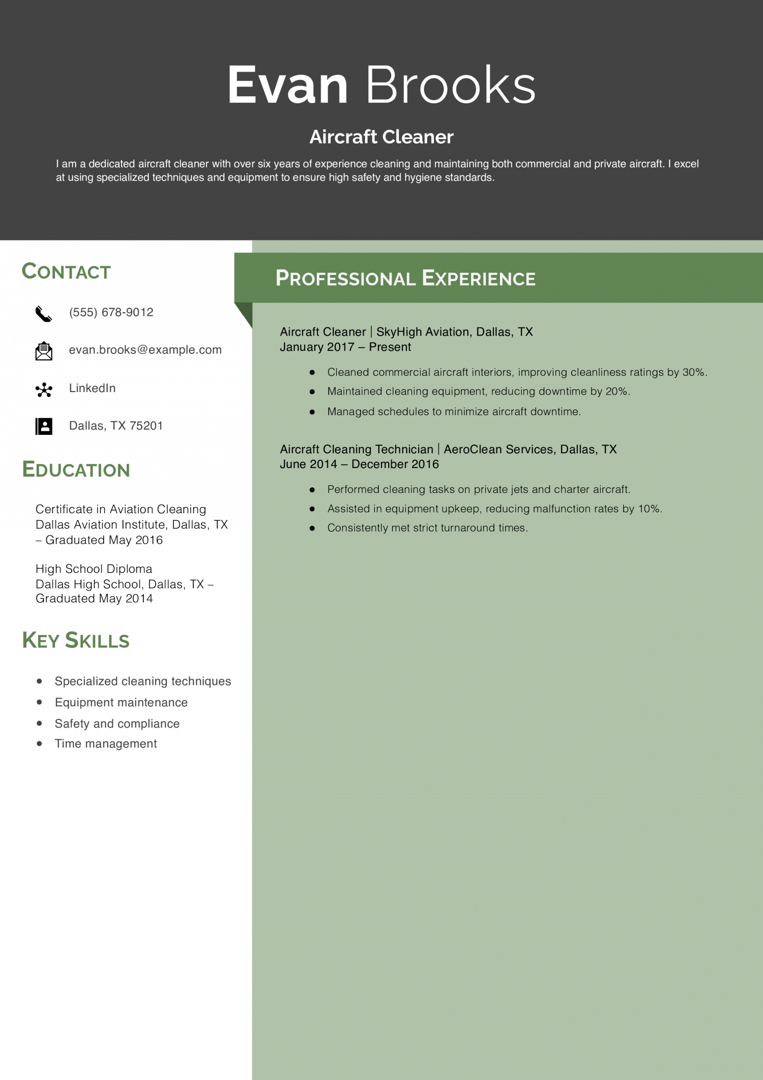 Aircraft Cleaner Resume Example