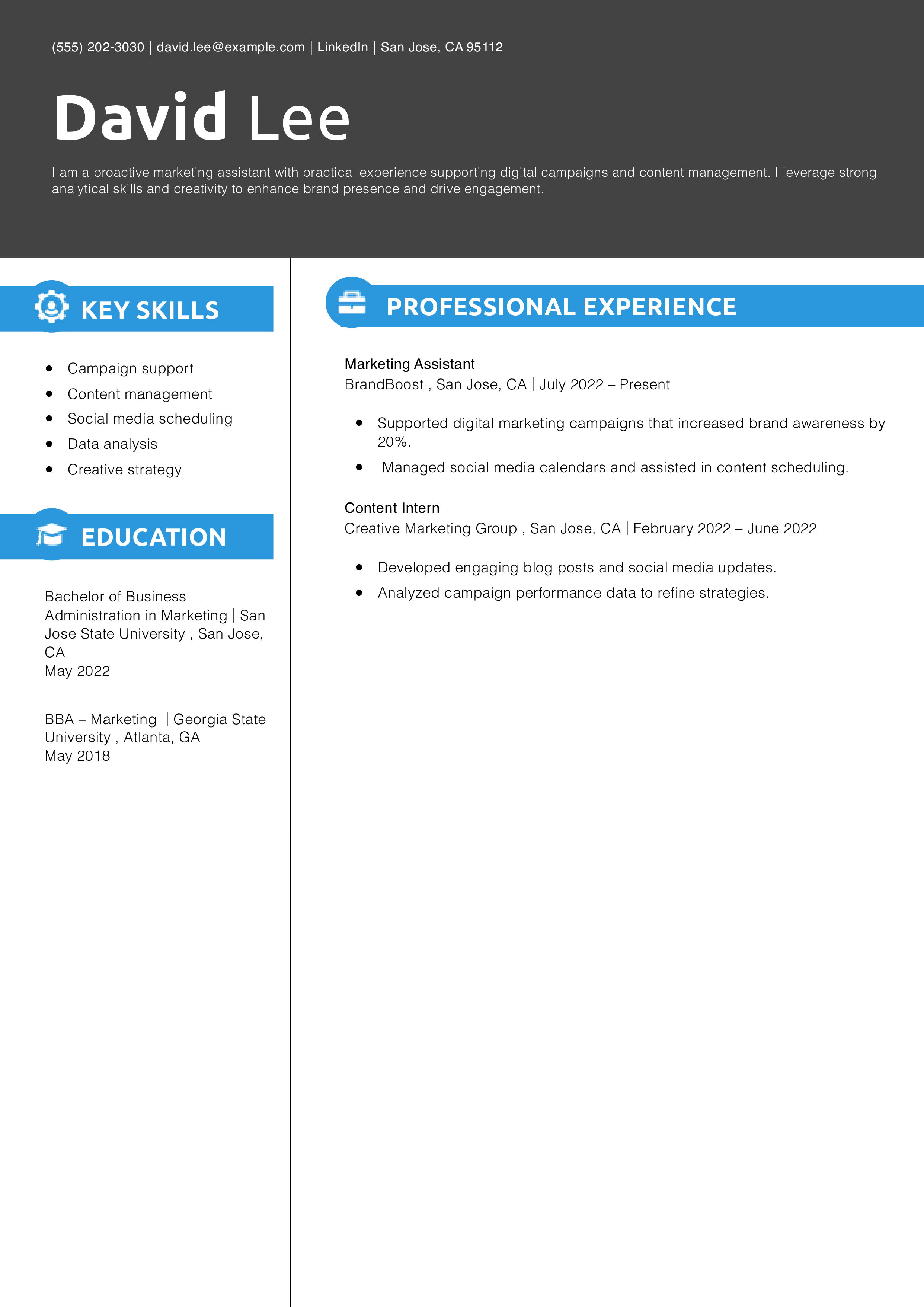 Digital Marketing Assistant Resume Example