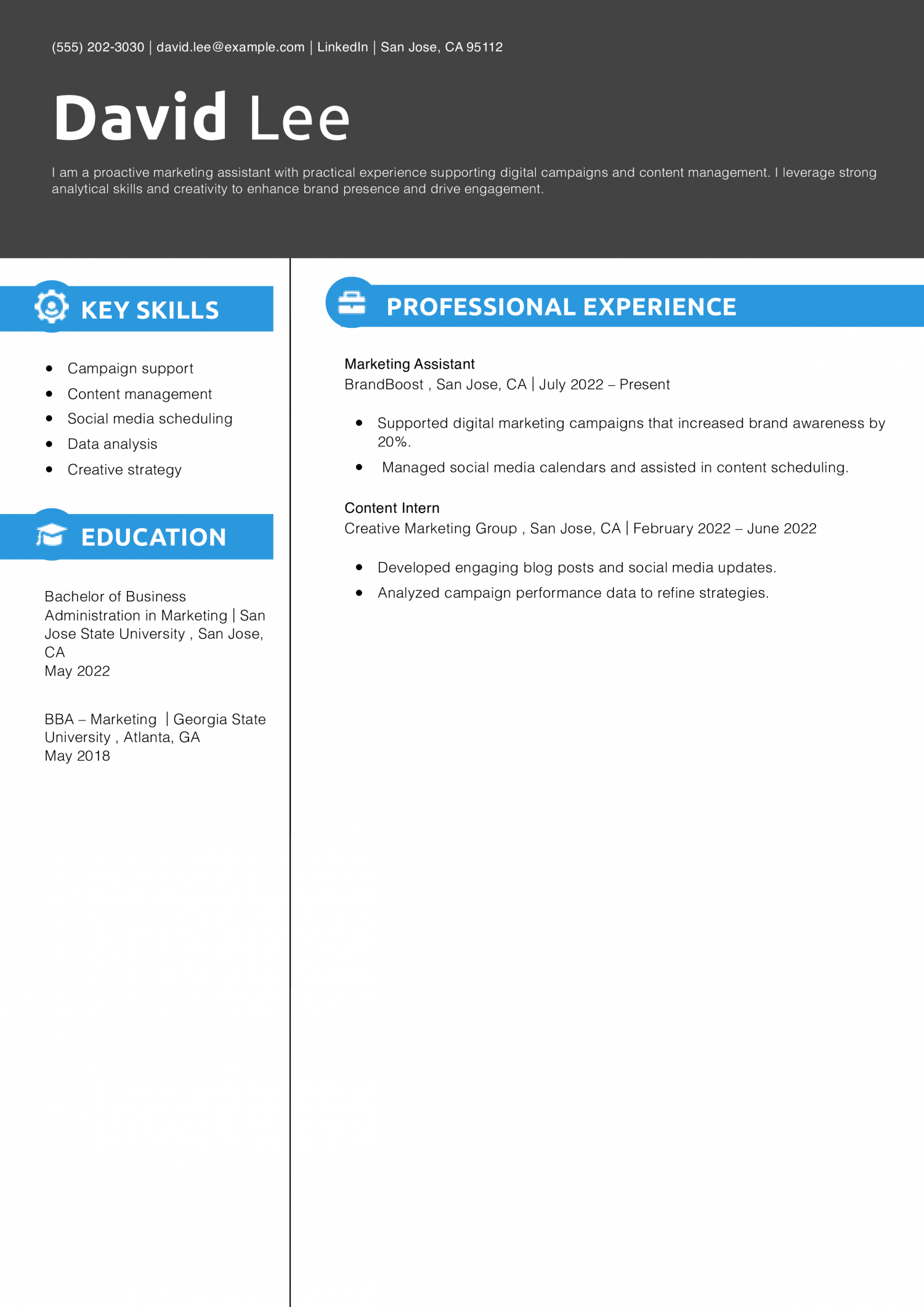 Digital Marketing Assistant Resume Example
