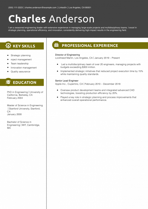 Director of Engineering Resume Example