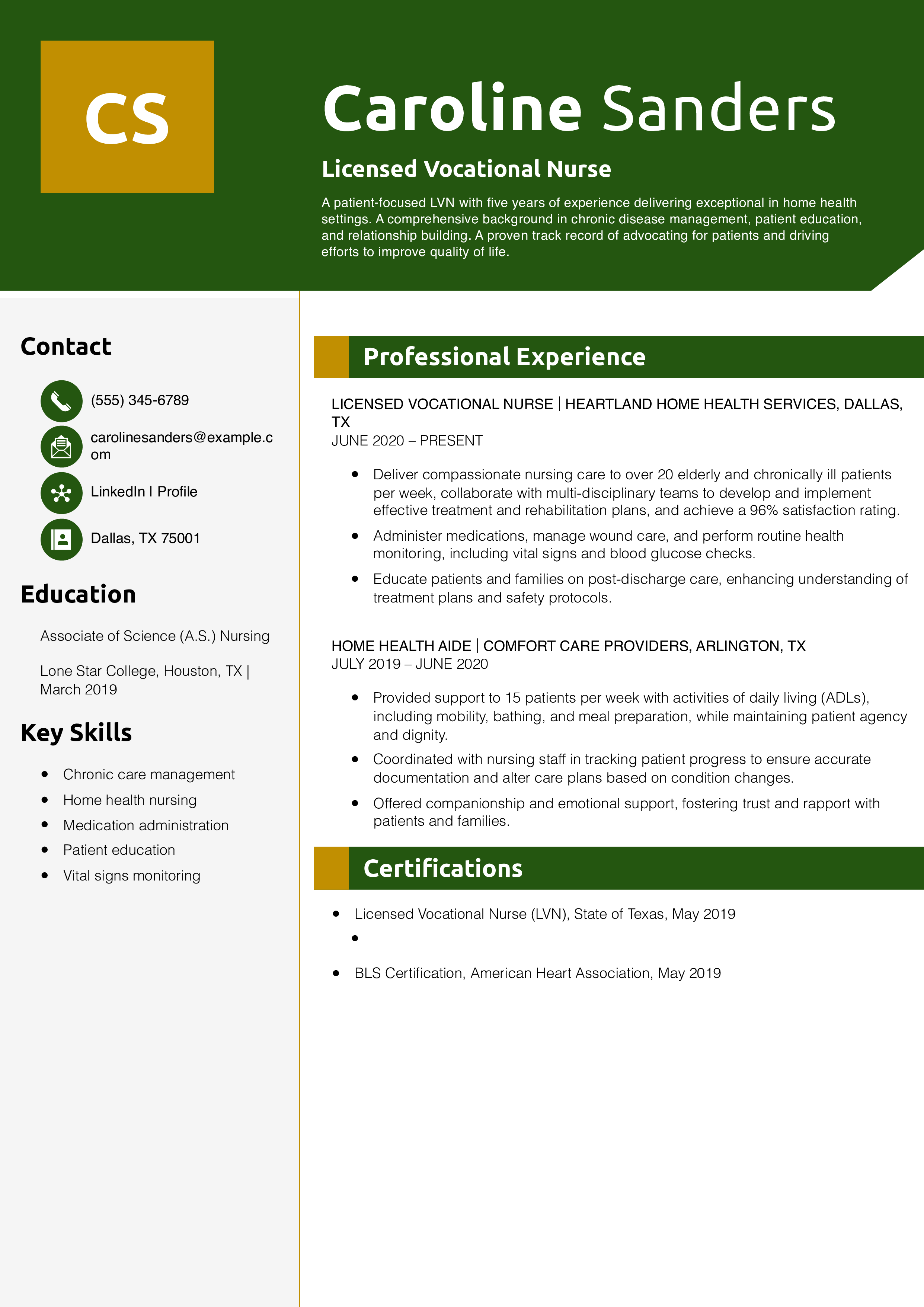 LVN Resume Example