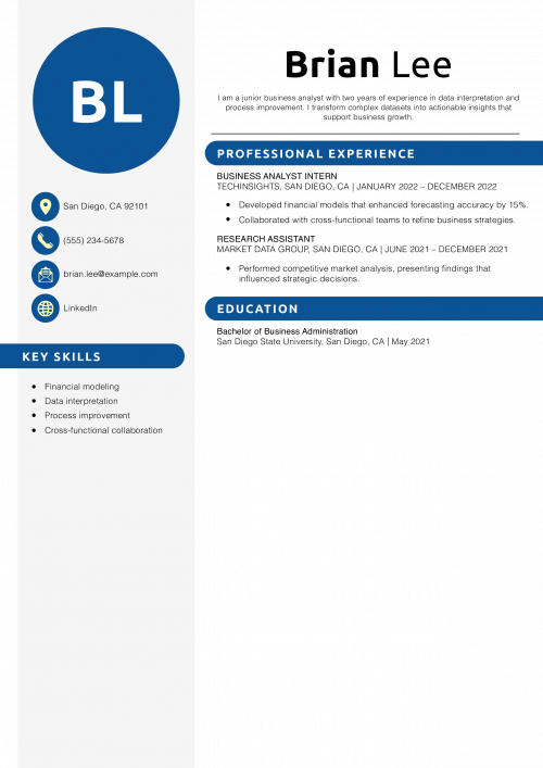 Junior Business Analyst Resume Example