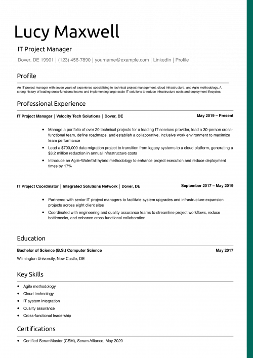 IT Project Manager Resume Example