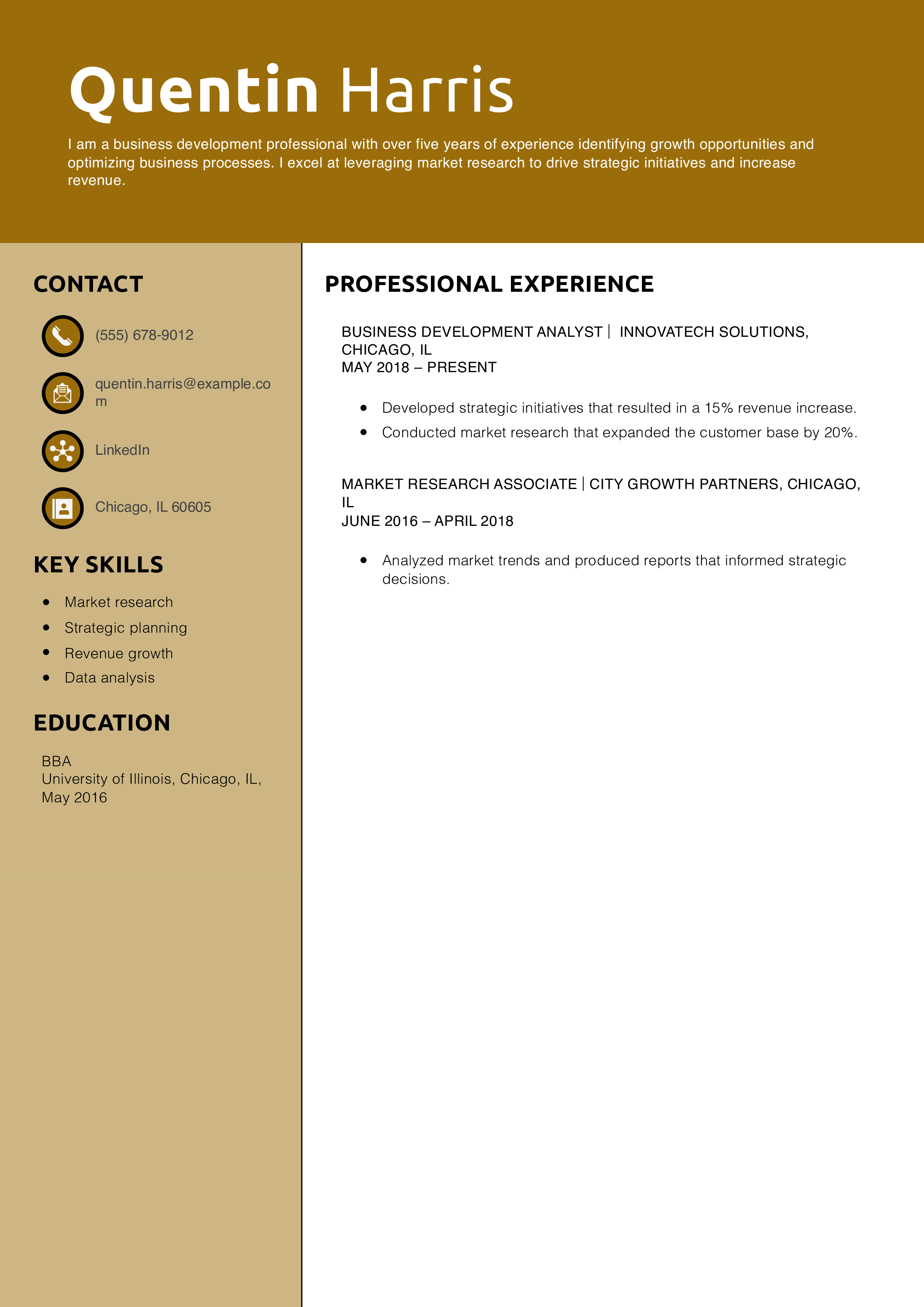 Business Development Resume Example