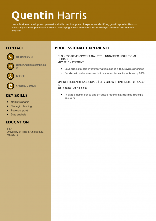 Business Development Resume Example